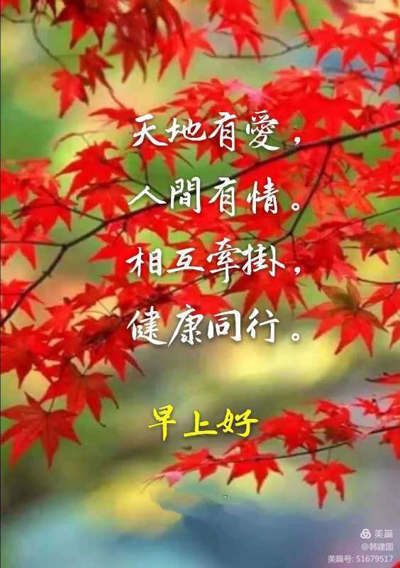 朋友你好吗一一问候语集锦五