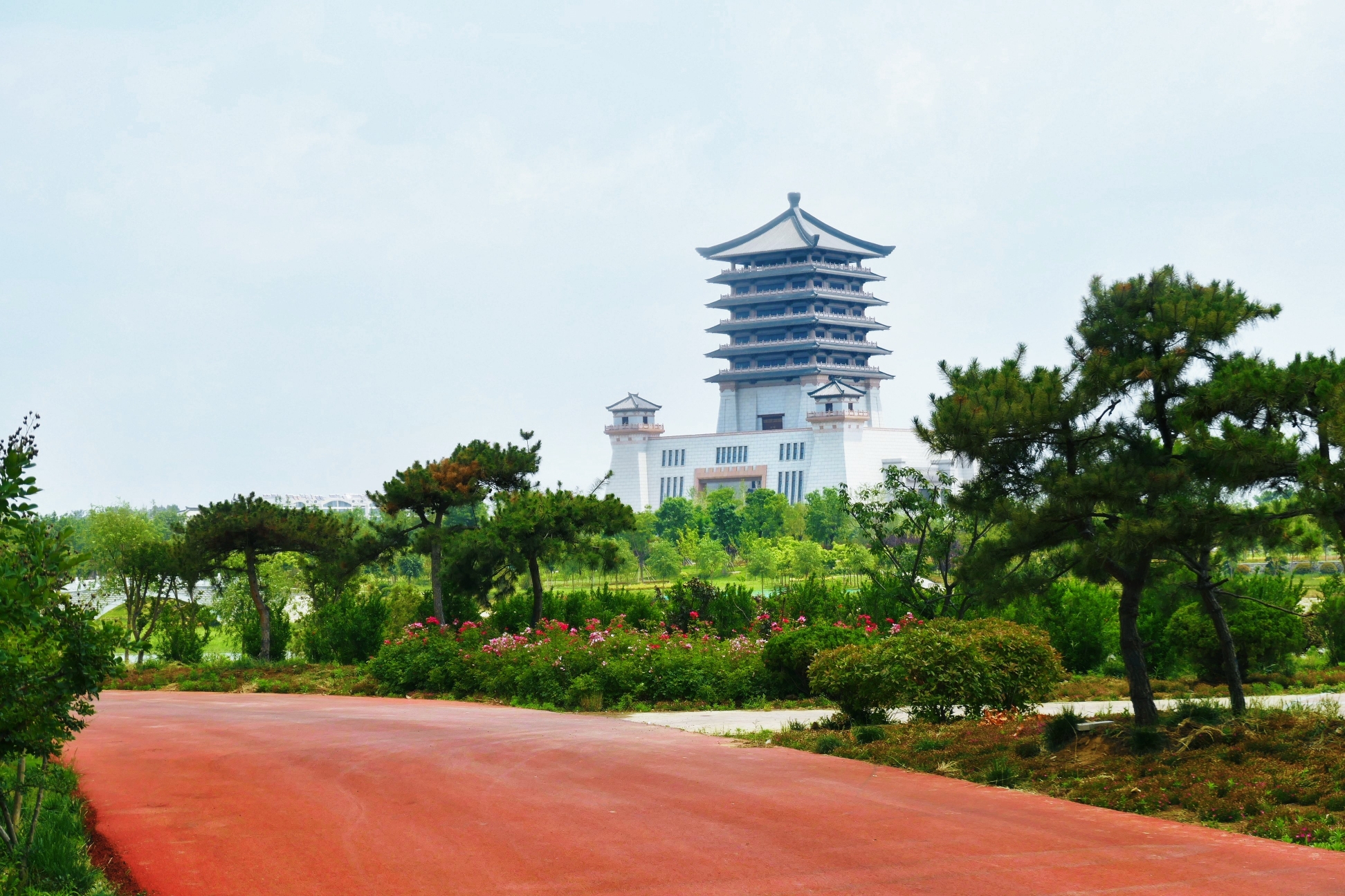 初夏,泰安汶河国家湿地公园,景色宜人.