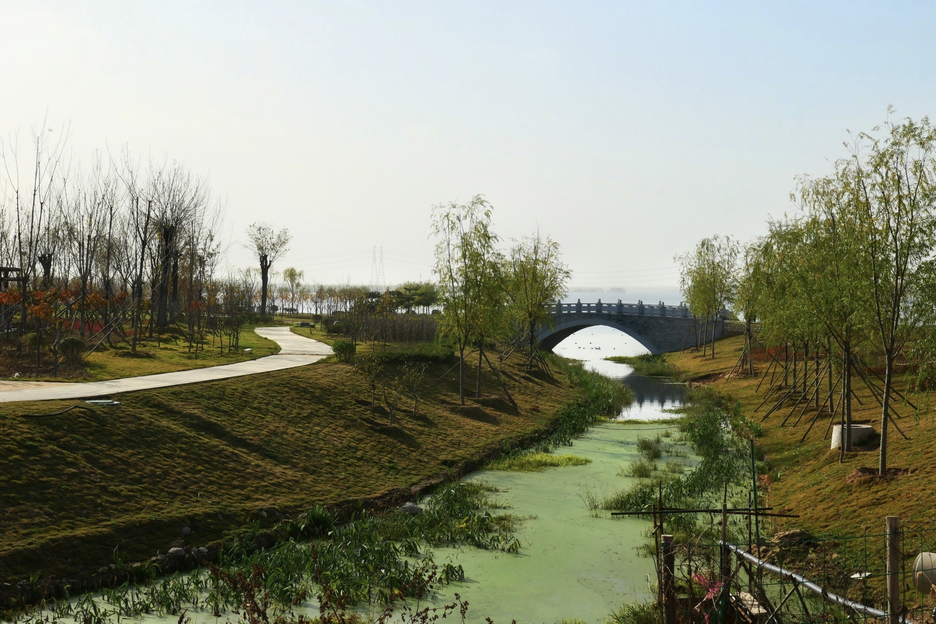 泰安汶河湿地公园,美景如画