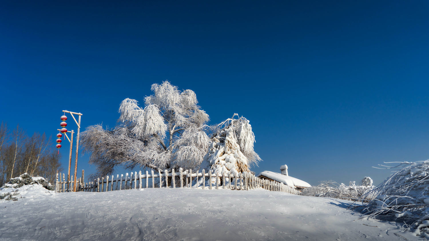 北国雪景图图片