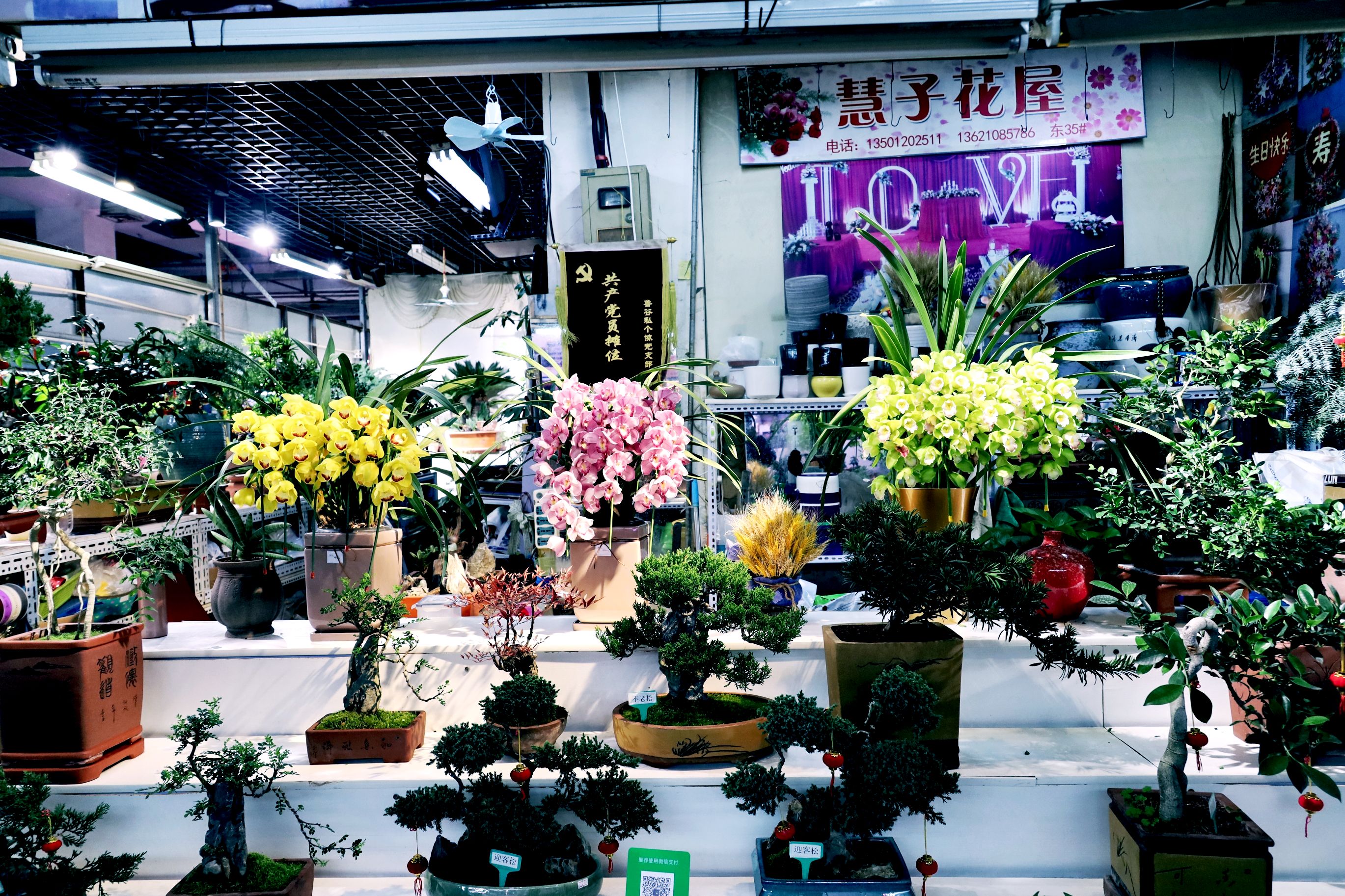太原花卉市场图片