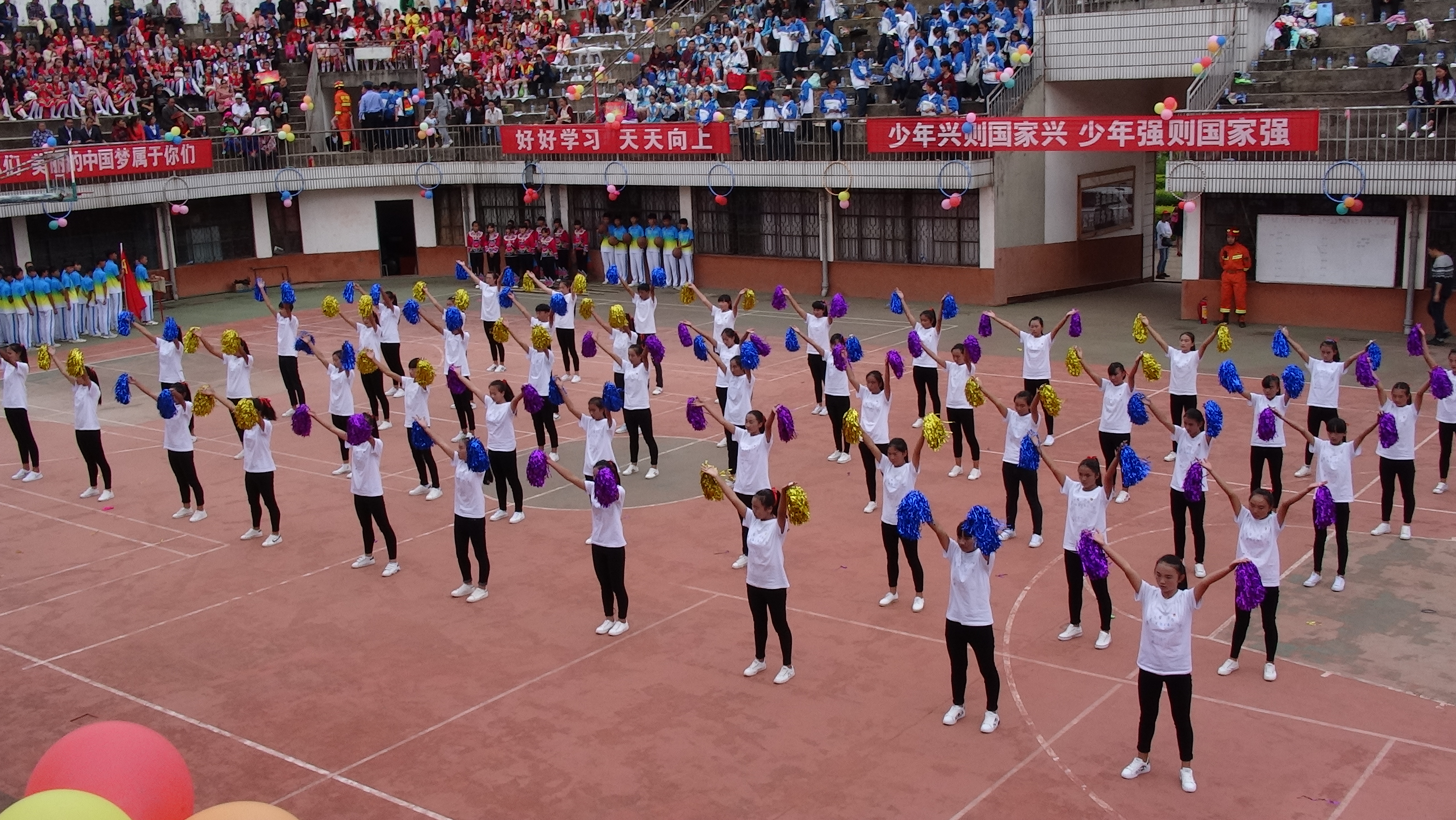 牟定茅阳中学校花图片