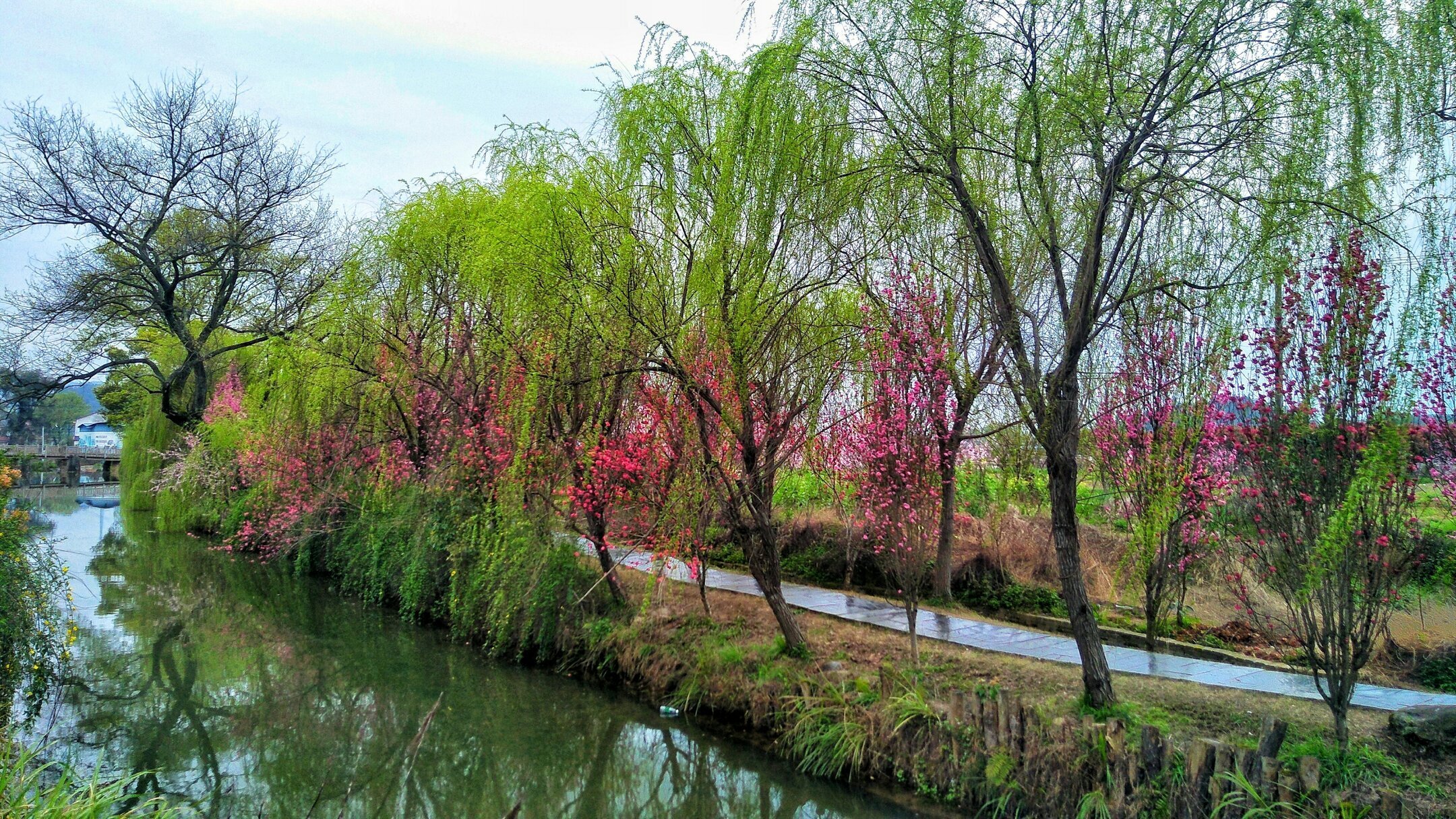 走进金刚桃树湾清代古民居首发