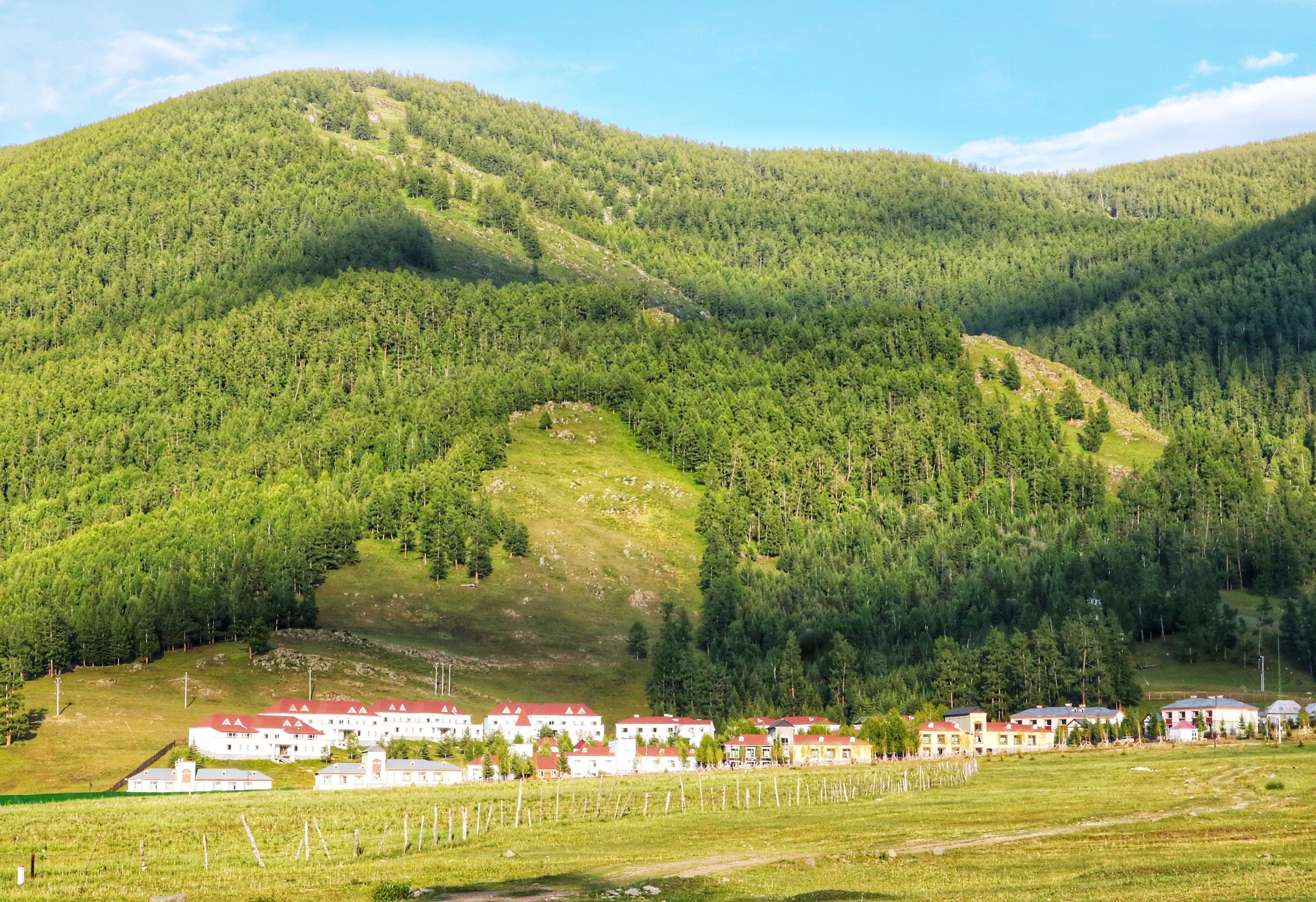 贾登峪 六月喀纳斯抒情