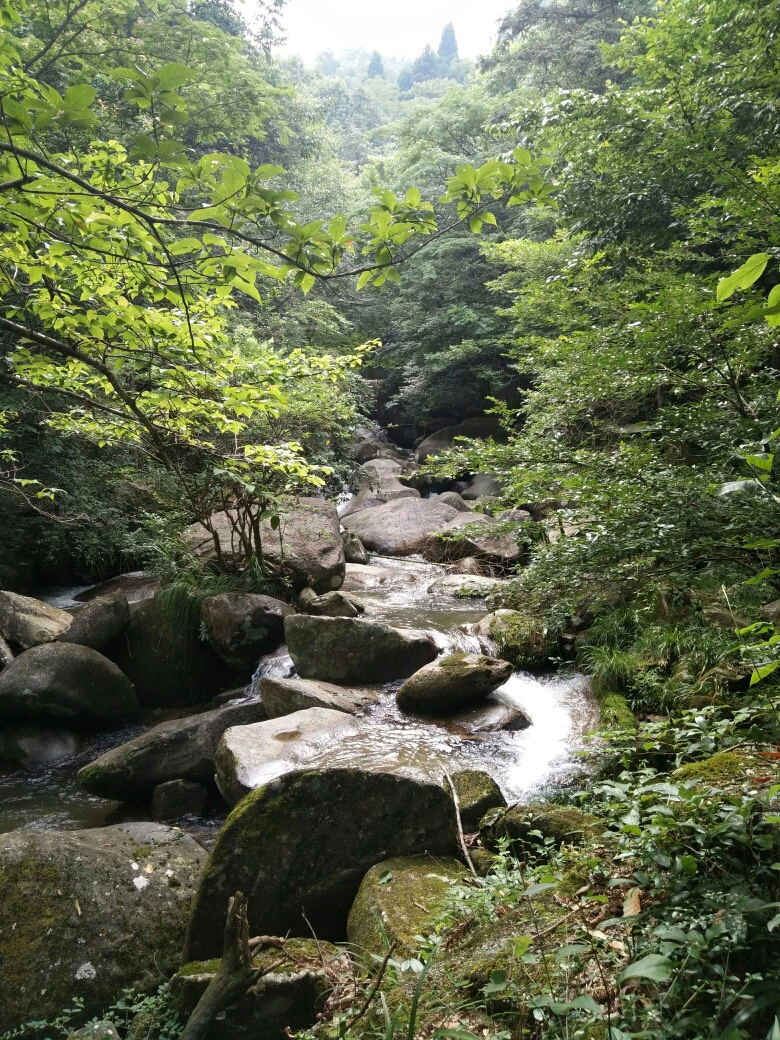 遊瀏陽大圍山森林公園,大圍山峽谷源流,皇龍大峽谷,皇龍5d玻璃橋(皇龍