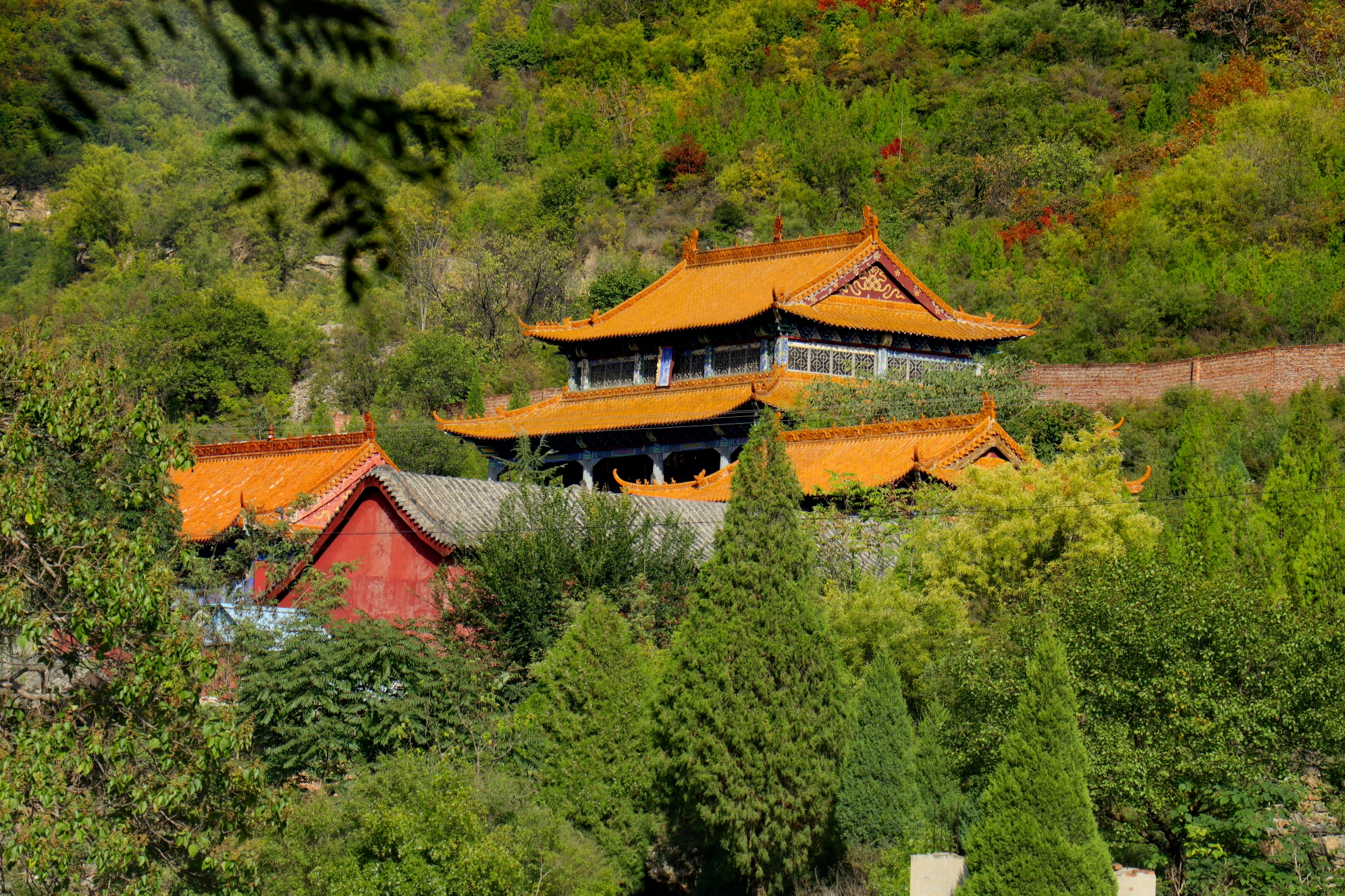 封恋寺 大安山 观古刹 赏红叶