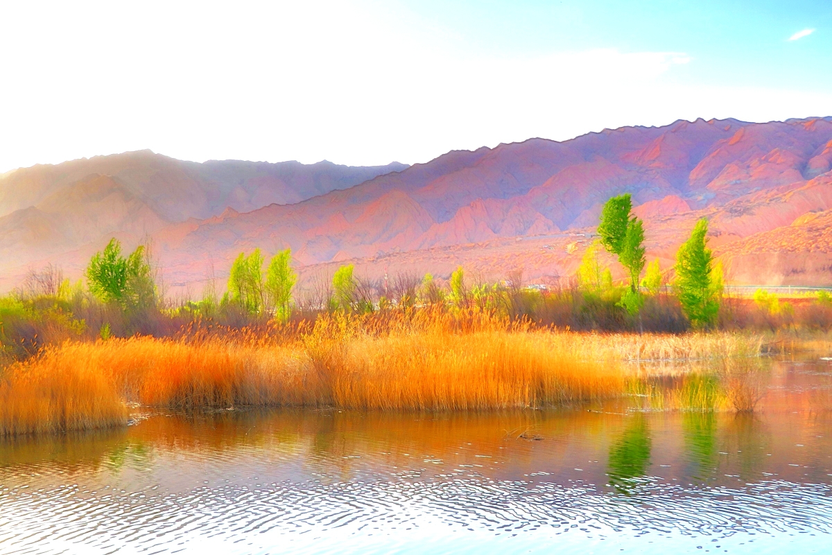 贵德黄河清国家湿地公园