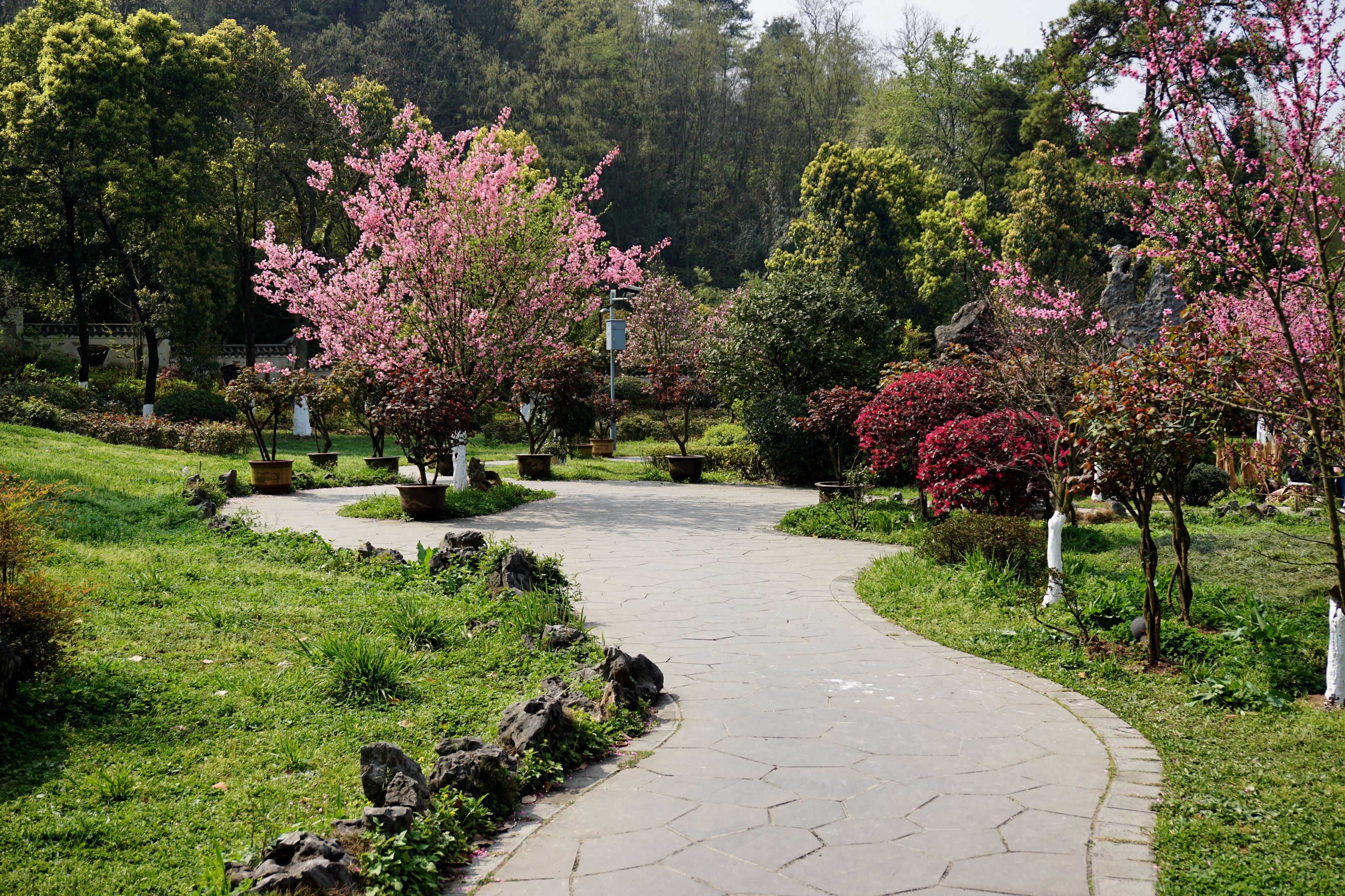 文字:来源歌词 在冬天山顶  露出春的生机 我们的故事  说着那春天