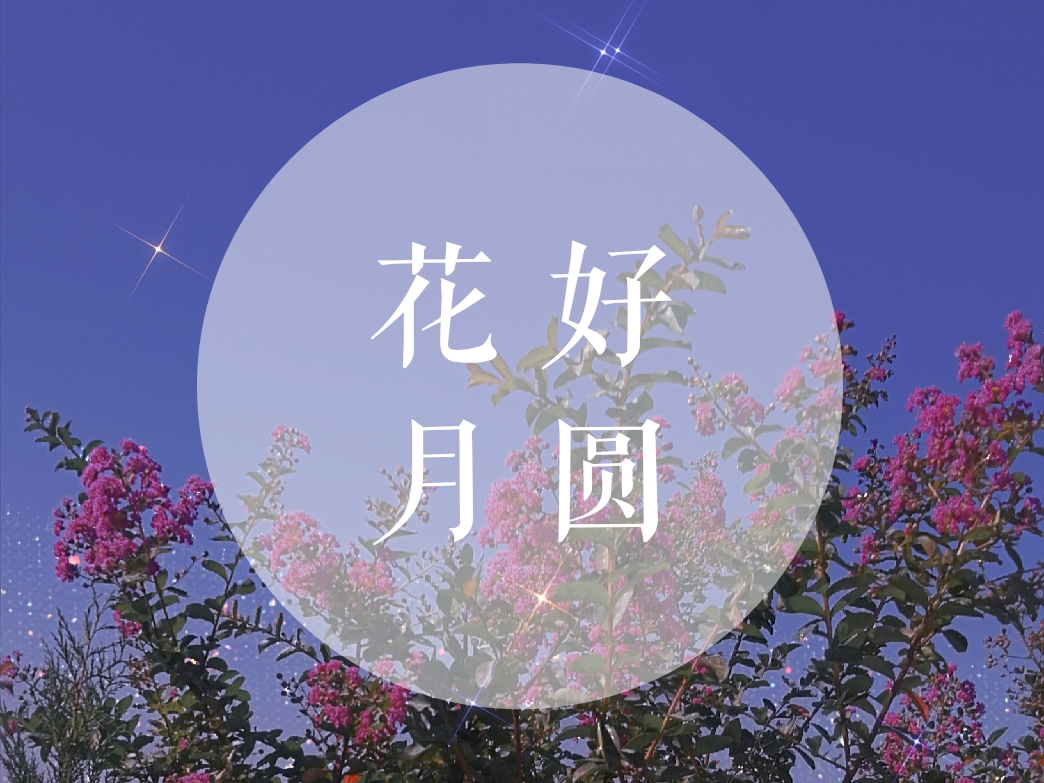 vv首发月圆花好共度今宵