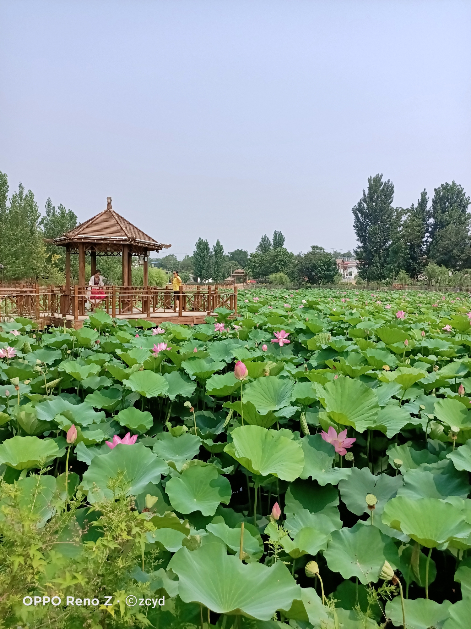 衡阳北塘村图片