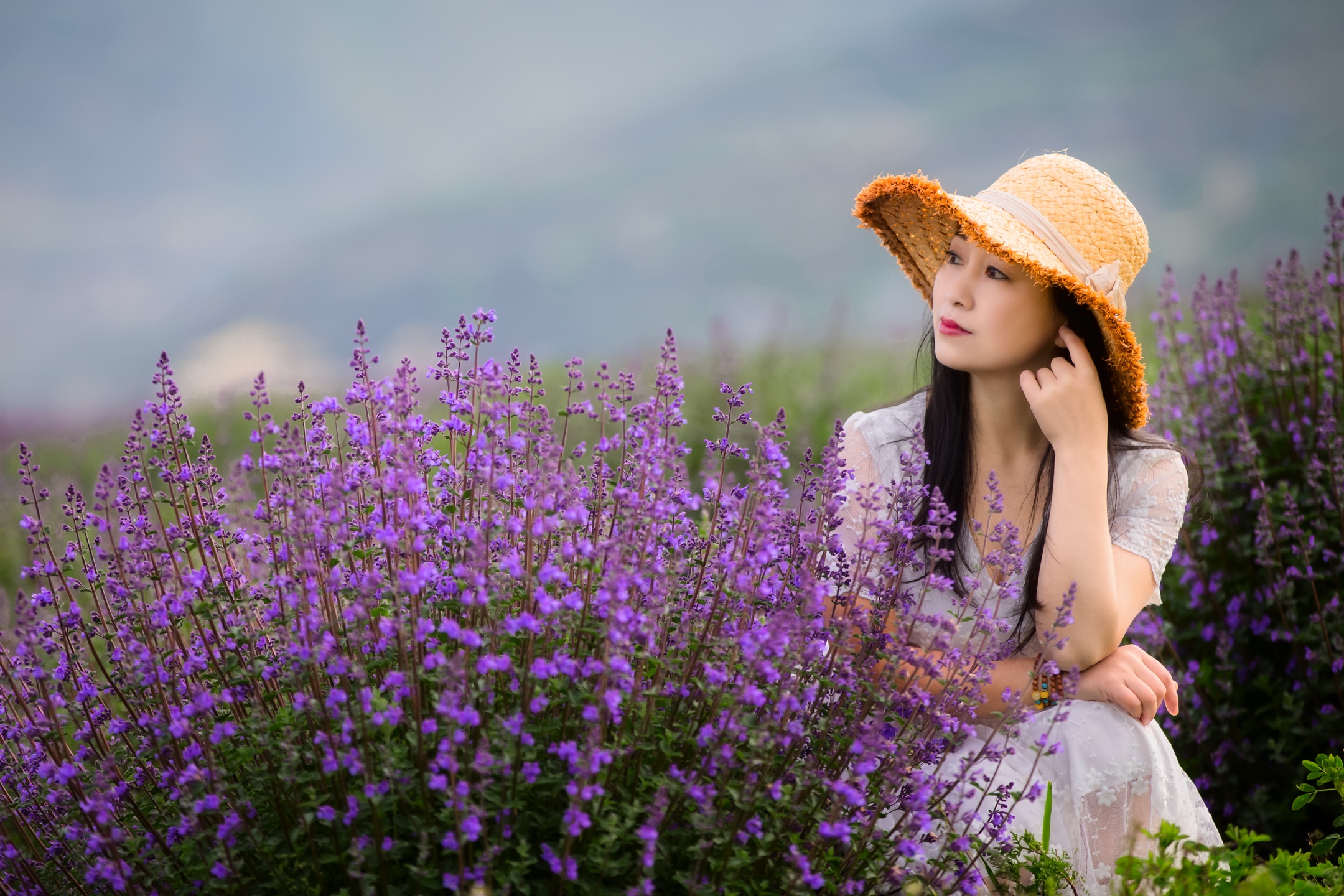 浪漫紫色的邂逅