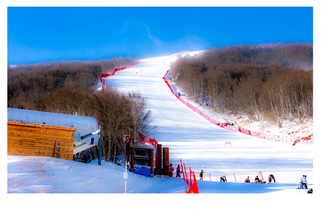 冬奥会高山滑雪场图片