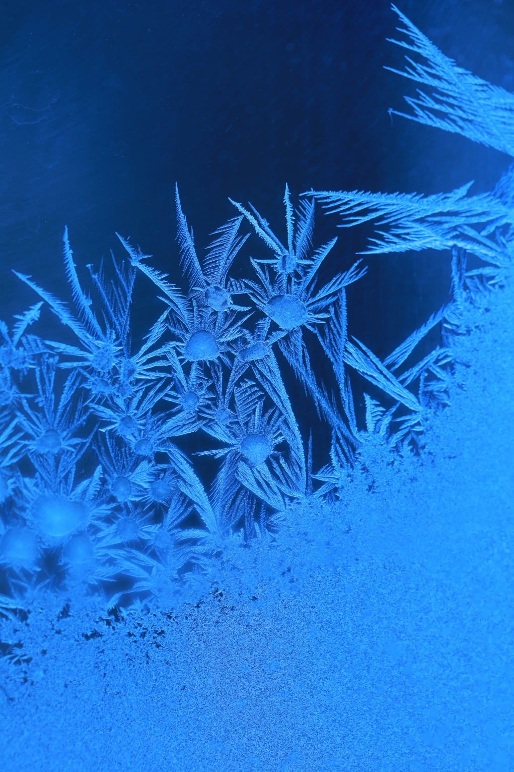 (原片微距摄影)冰凌窗花