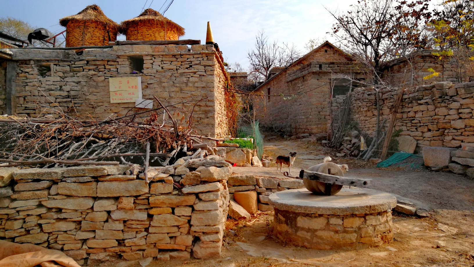 根据历资料记载,二奇楼村是红色革命根据地,泰安县委,肥城市委均曾在