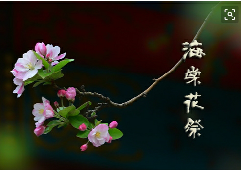 海棠花祭～邓颖超