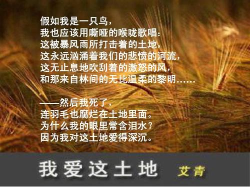 七一朗诵诗歌《我爱这土地》