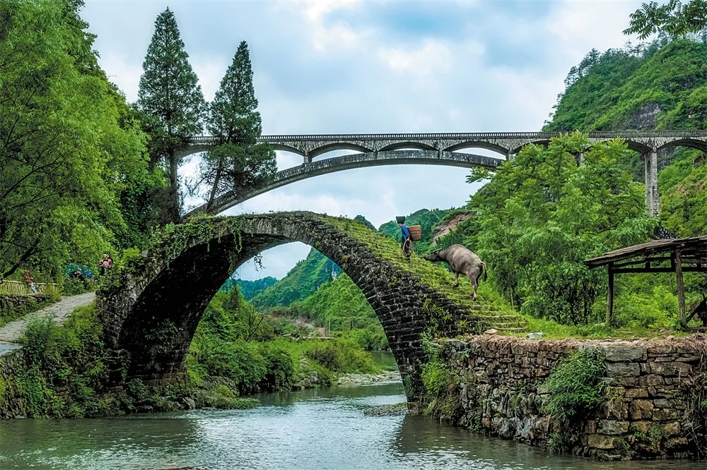 记录乡村,映照时代