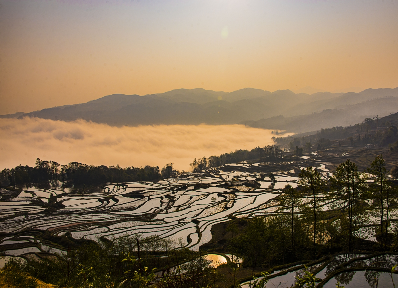 云南红河哈尼族彝族自治州 元阳梯田