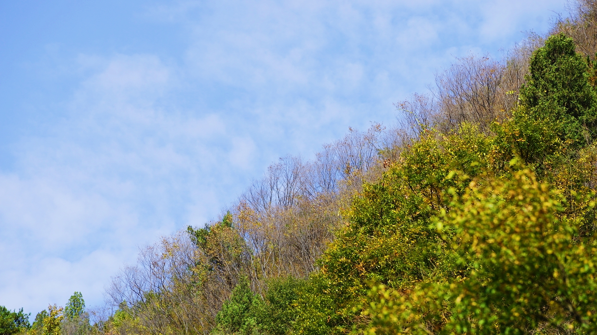 燕子山风景区