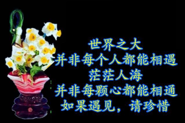 在网上我认识了你