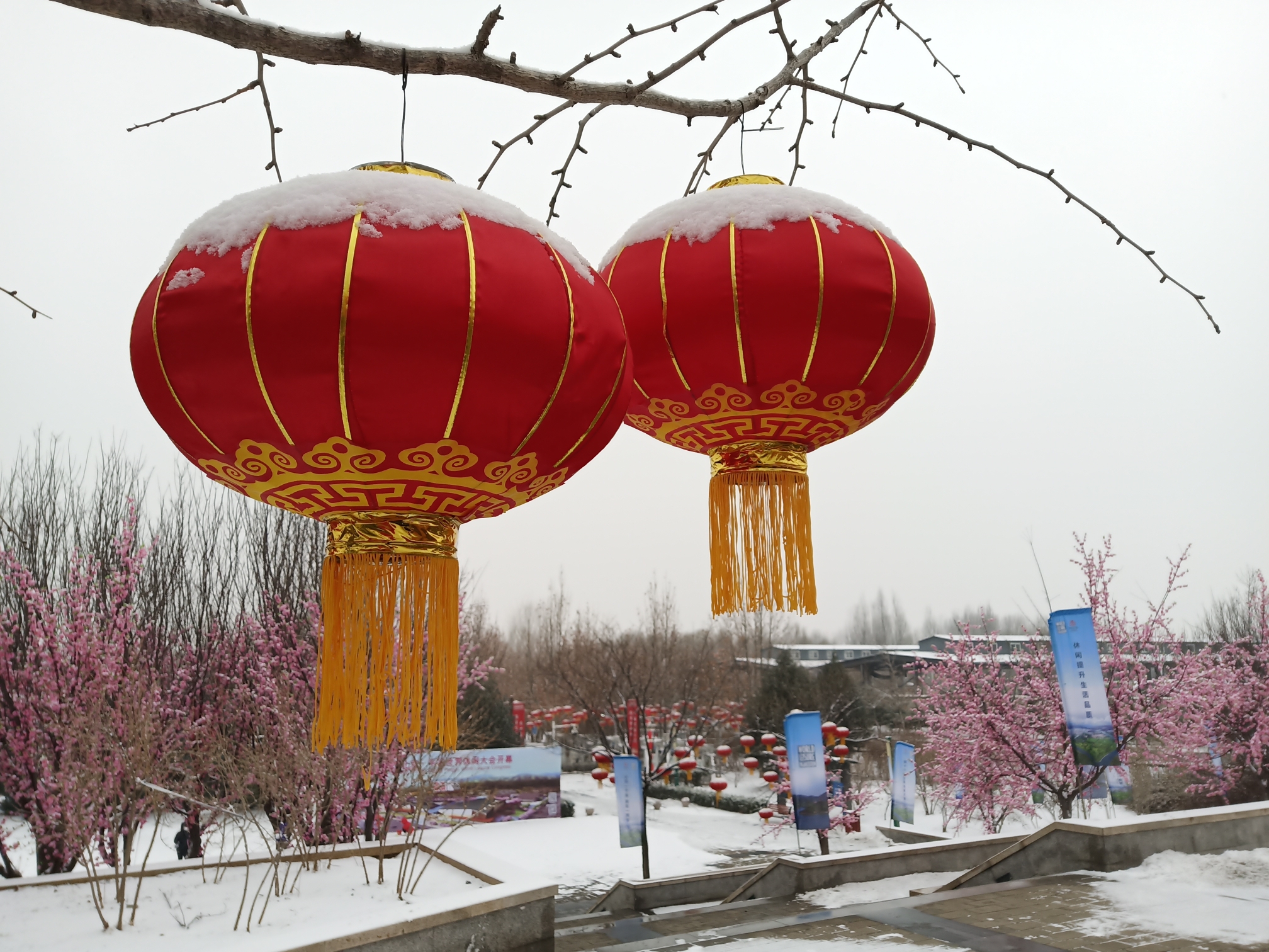 大红灯笼再挂点雪