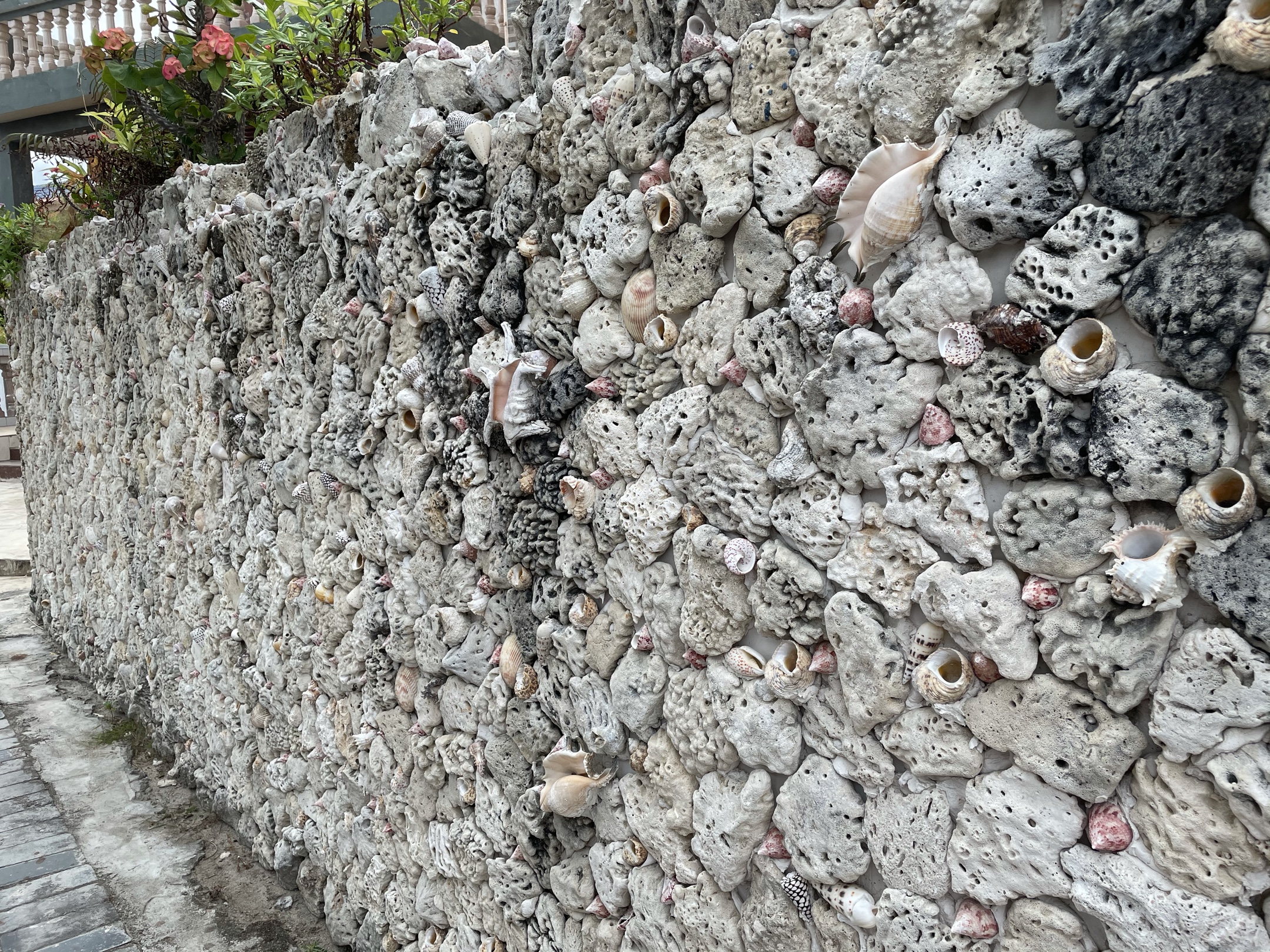 这是我看到的最贵的墙,是用珊瑚砌成的