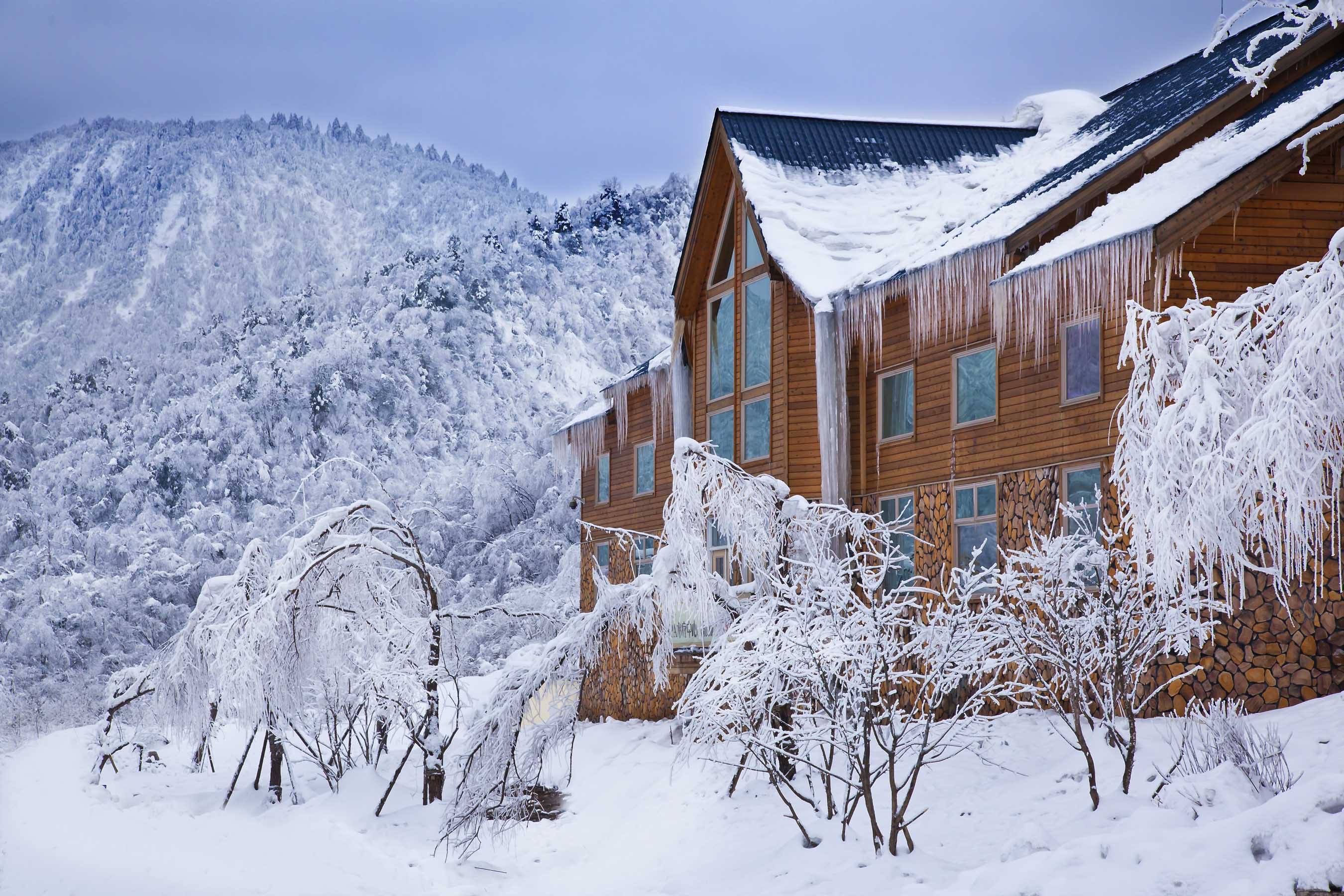 西岭雪山近景图片