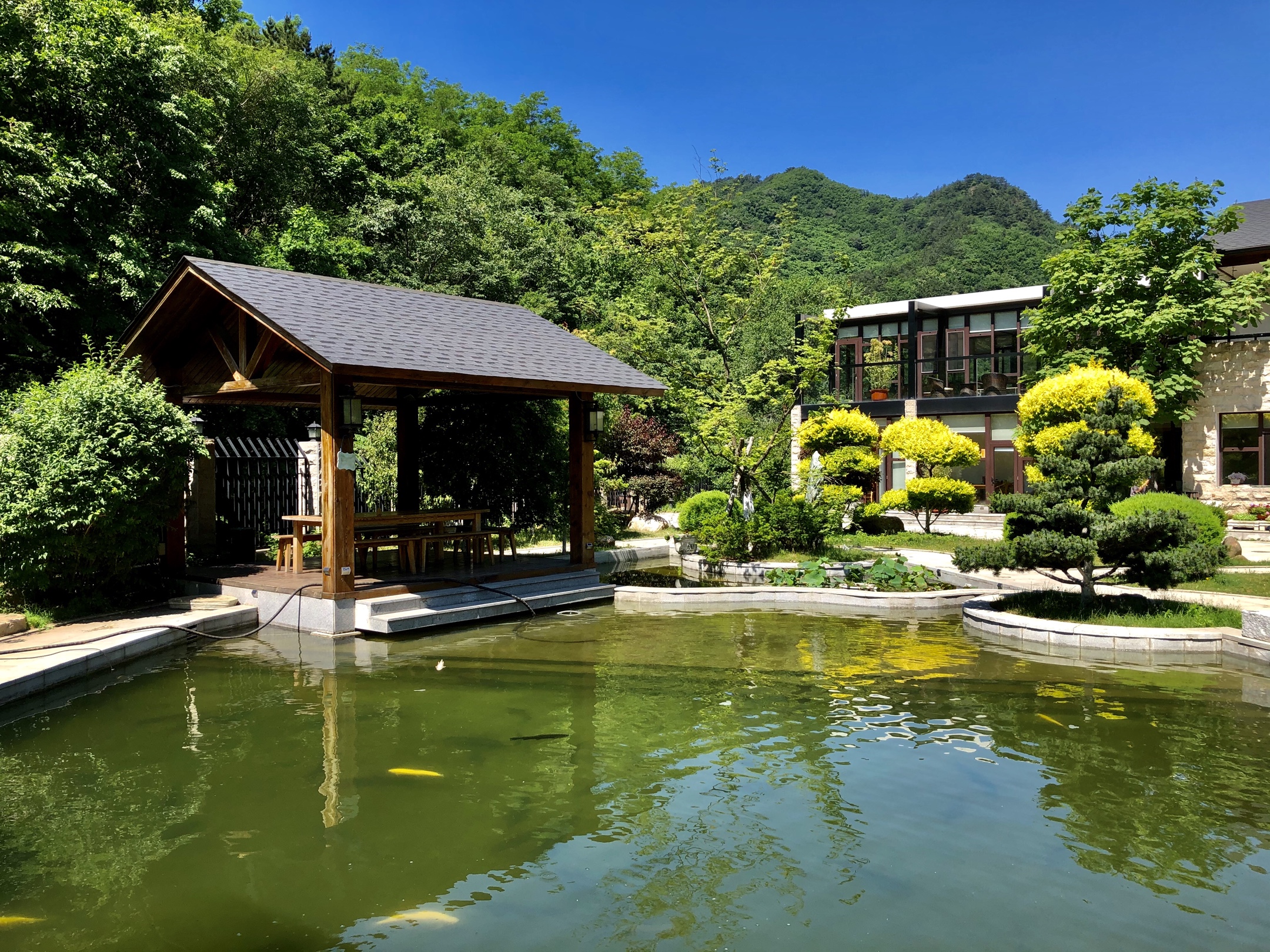 从未想到 在本溪大峪沟山里 竟然隐藏着一个世外桃源 它就是"峪涧吾舍