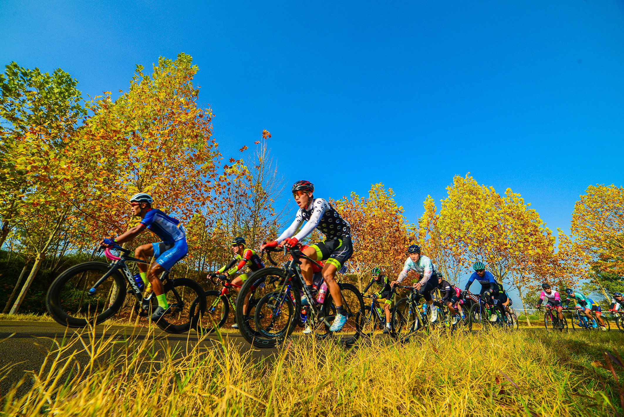 三门峡自行车邀请赛在秋叶锦道上飞舞美如油画