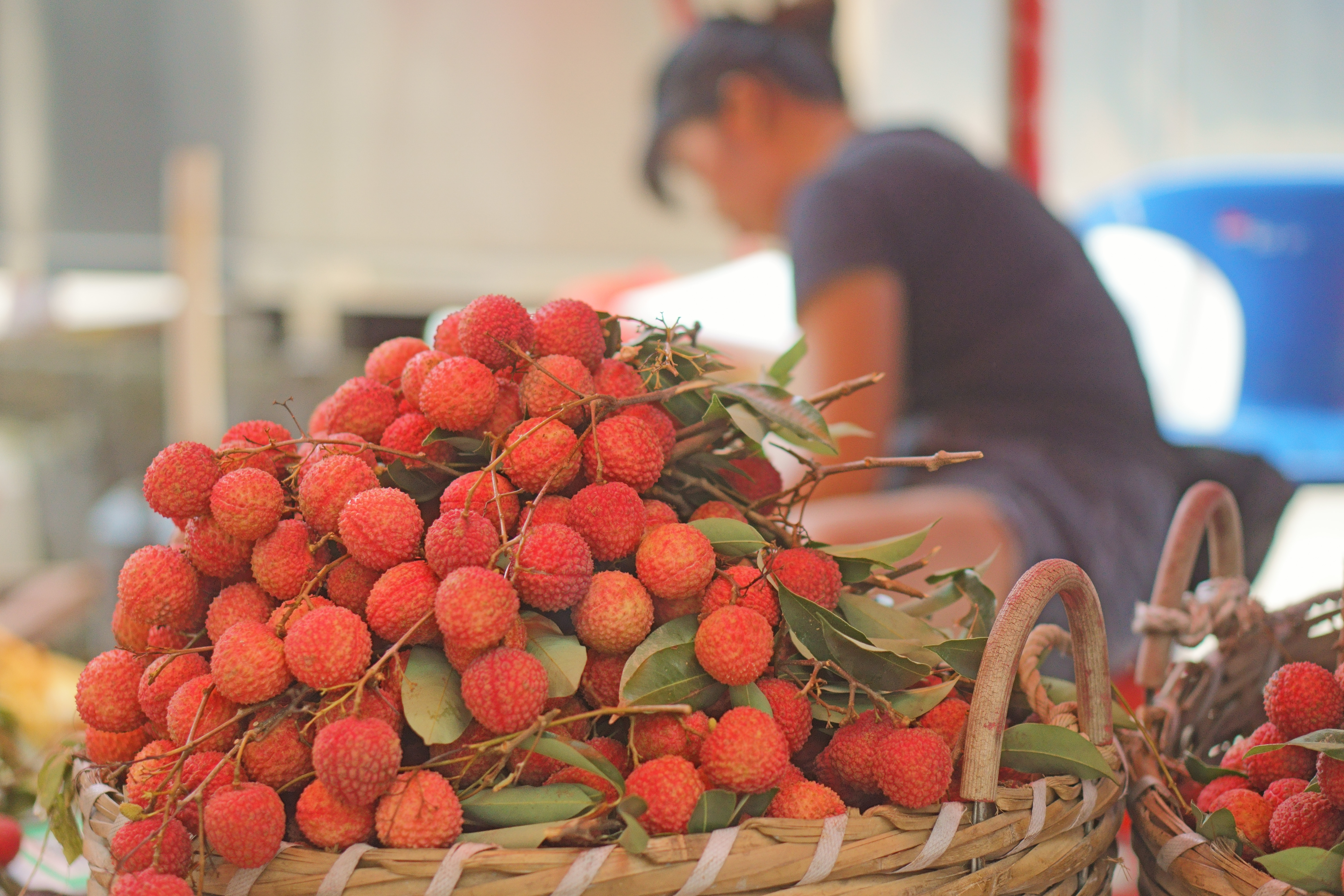 2018萝岗荔枝市场(纪实摄影)