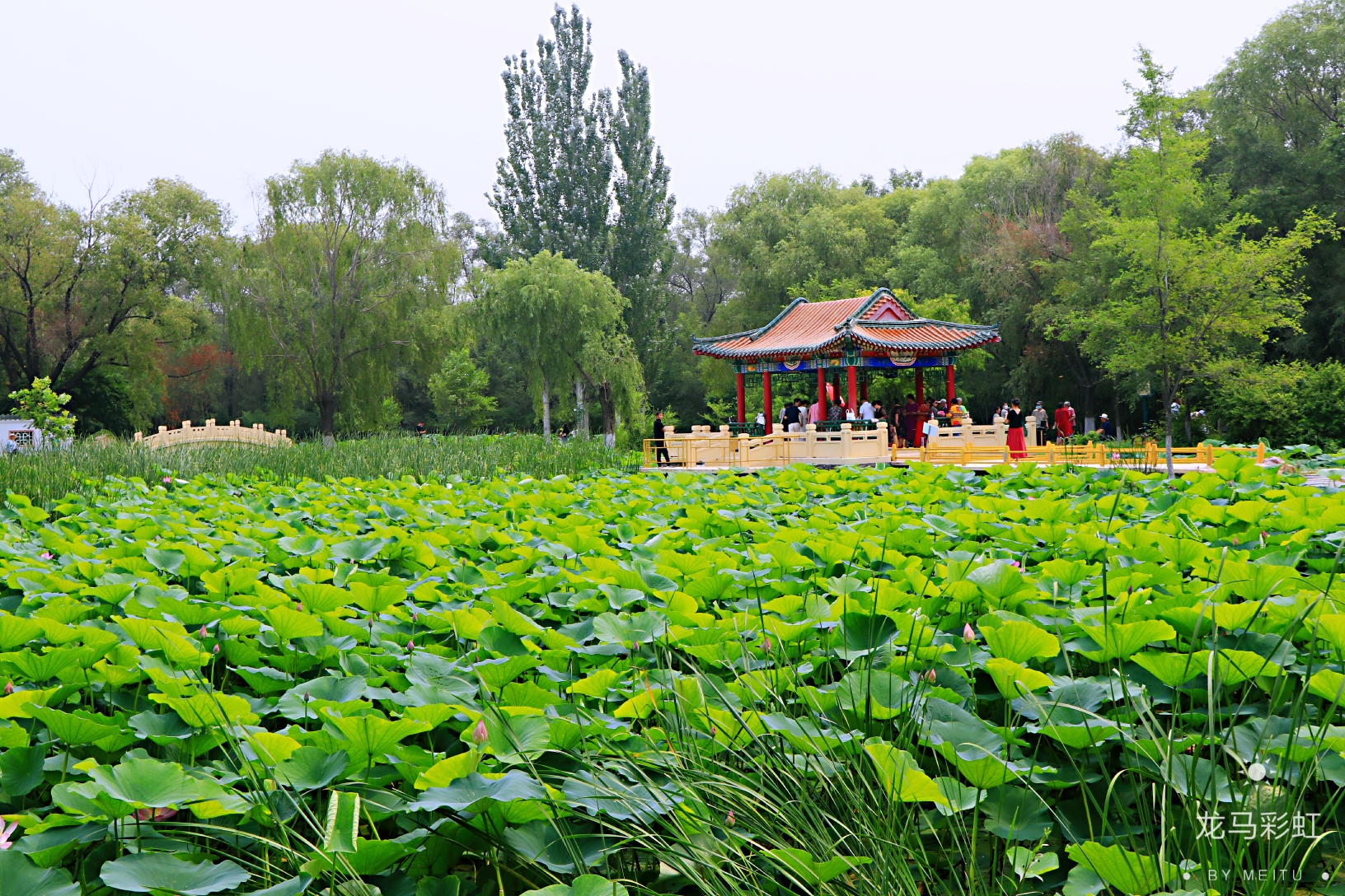 盤錦湖濱公園