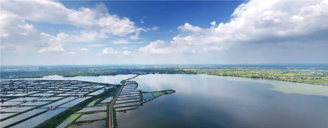 在水一方锦绣枝江和孙孙女游金湖