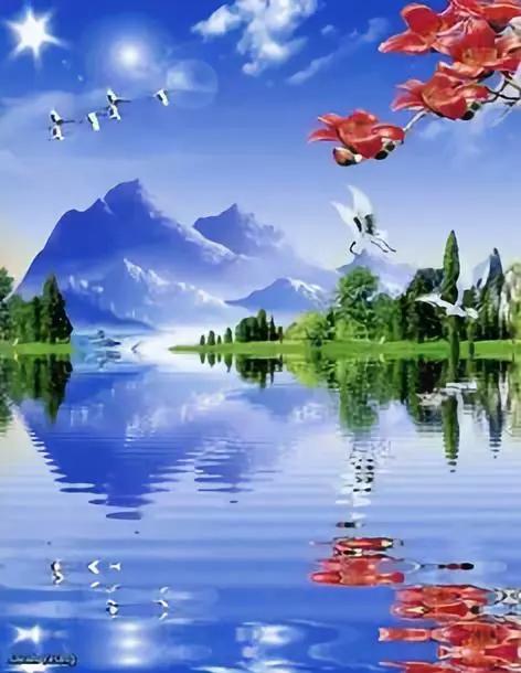 这边风景真优美