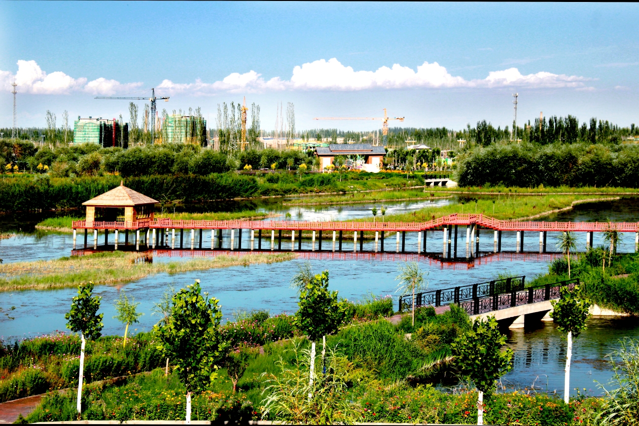 徜徉在阿克苏国家湿地公圄