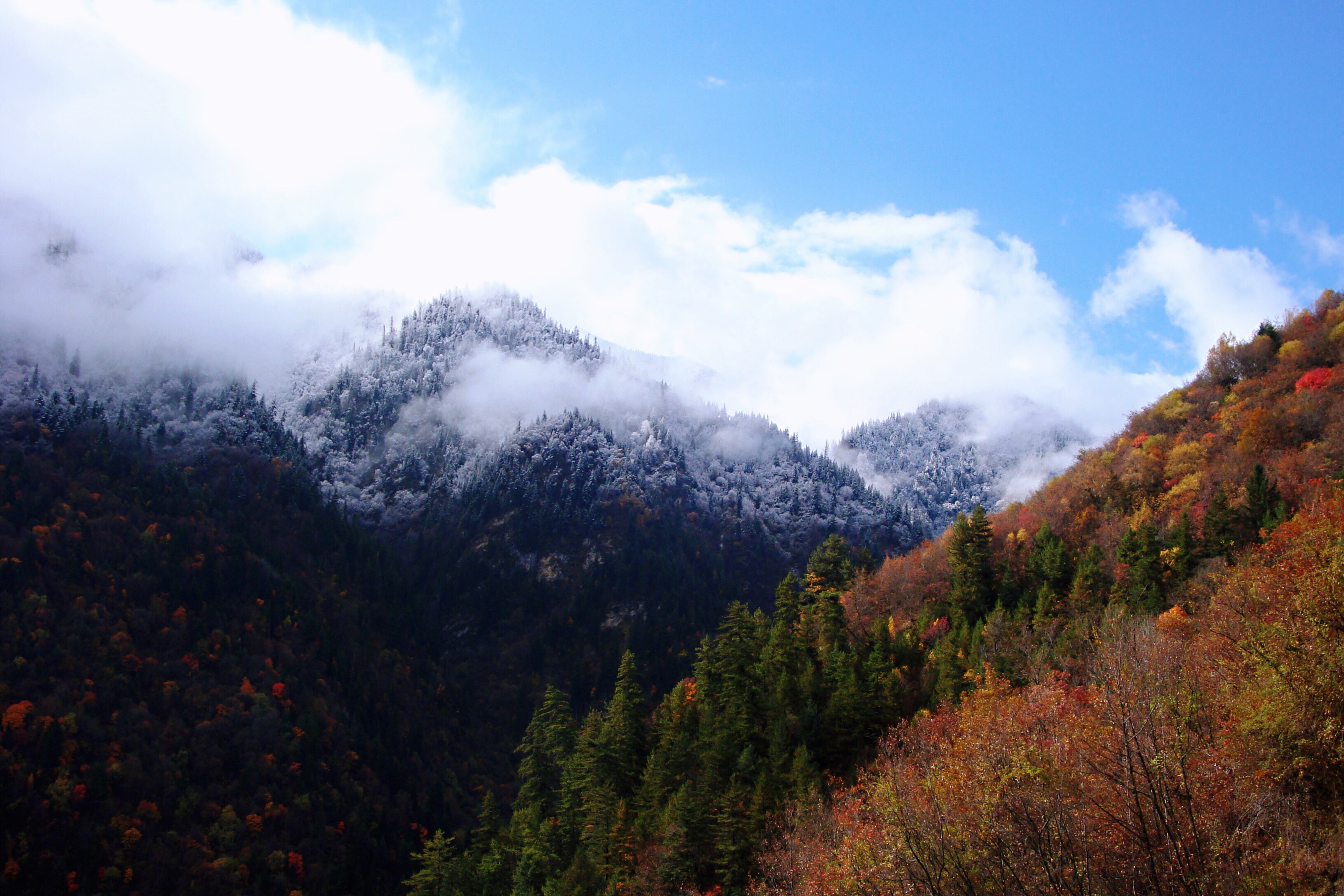 金秋醉美的风景～四姑娘山