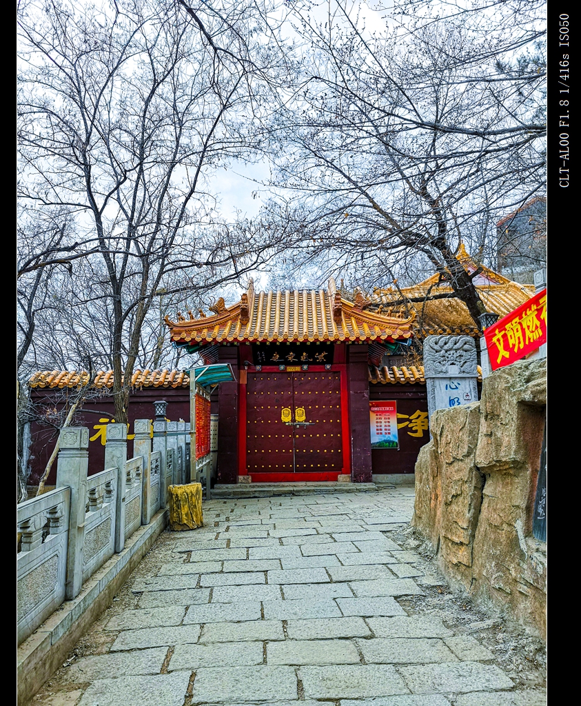 辽宁抚顺市高尔山,高尔山满语意为长满槐树的山.
