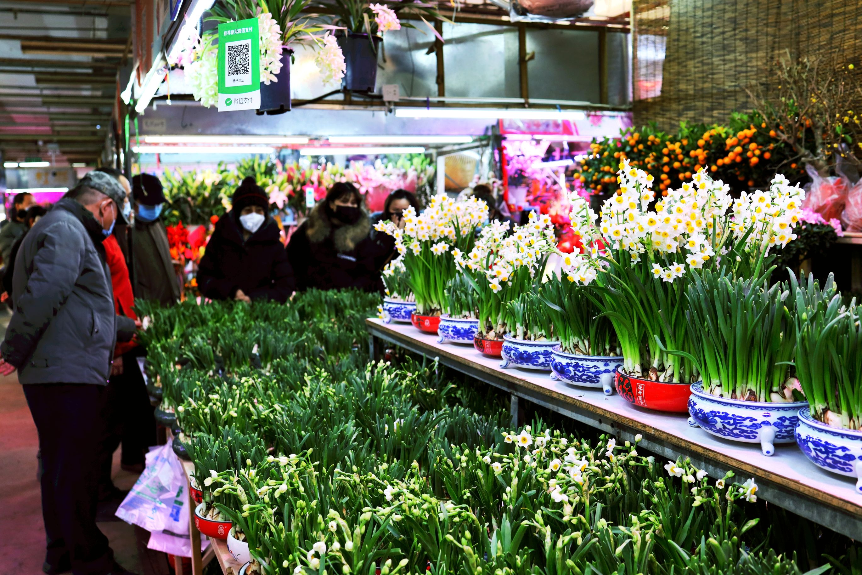 天津花卉市场图片