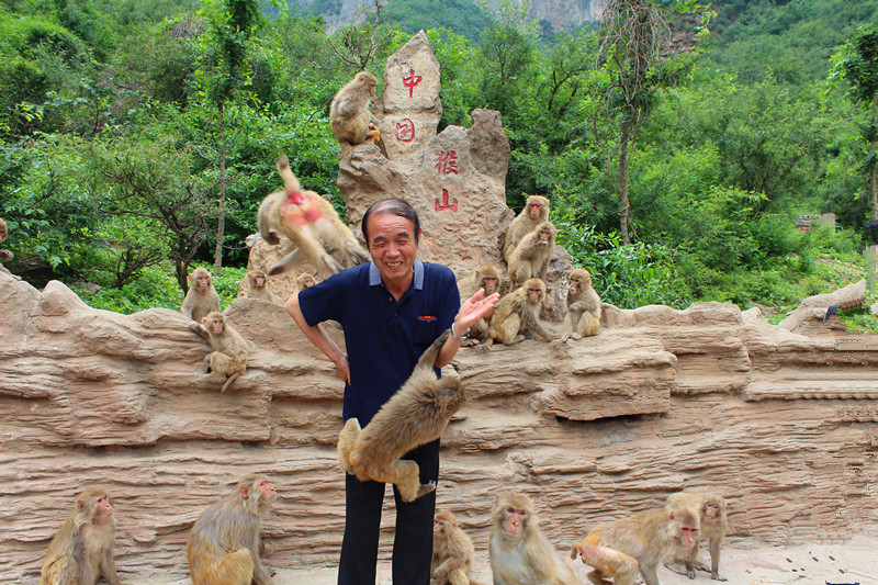 济源五龙口一日游