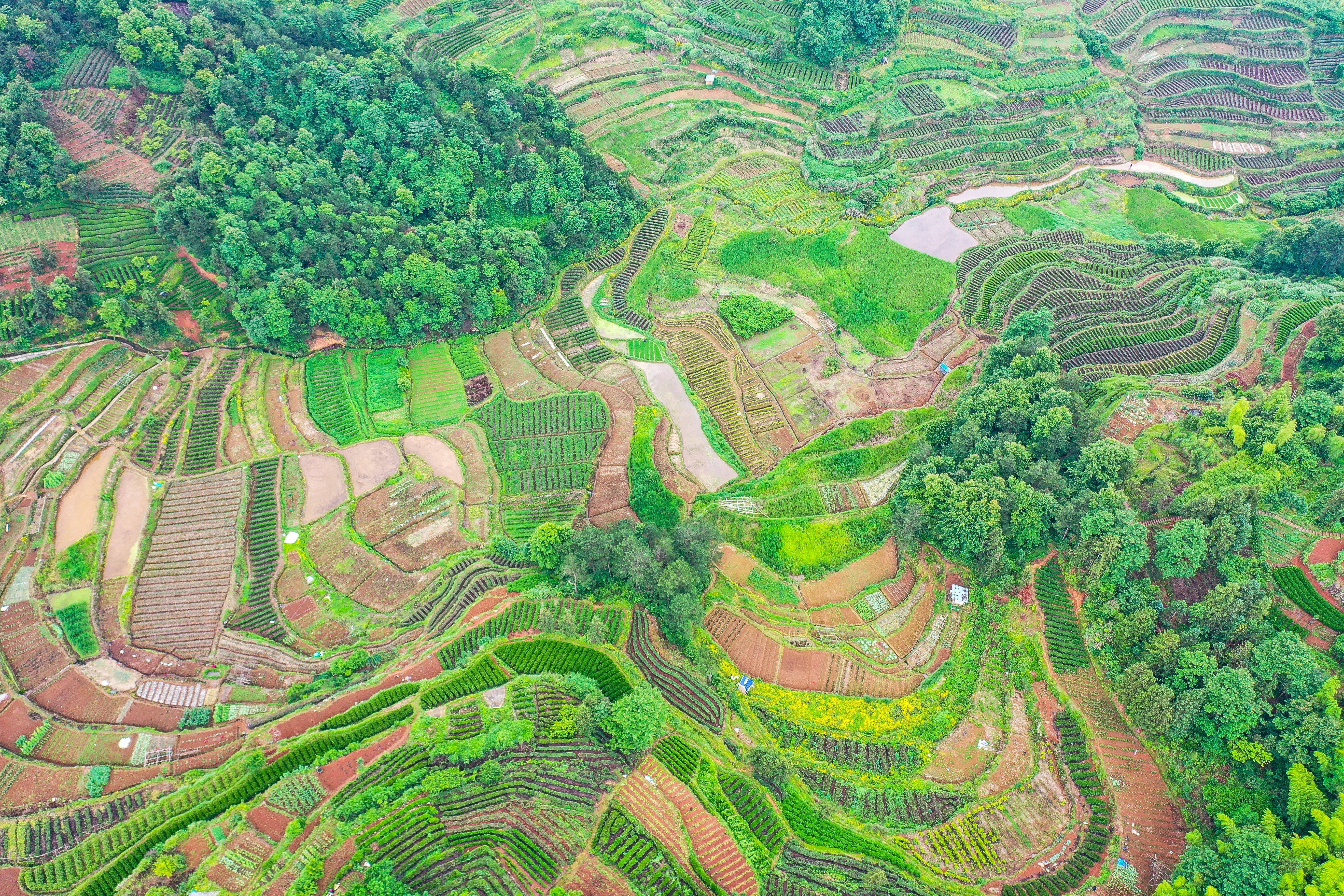 火山台地,空中乡村