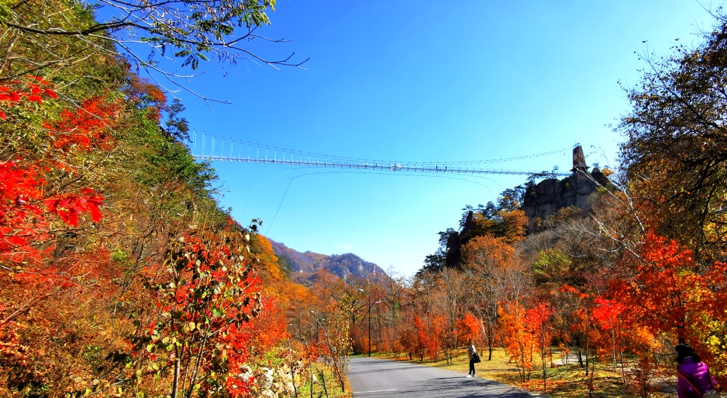 本溪市天桥沟森林公园2020年手机随拍之12