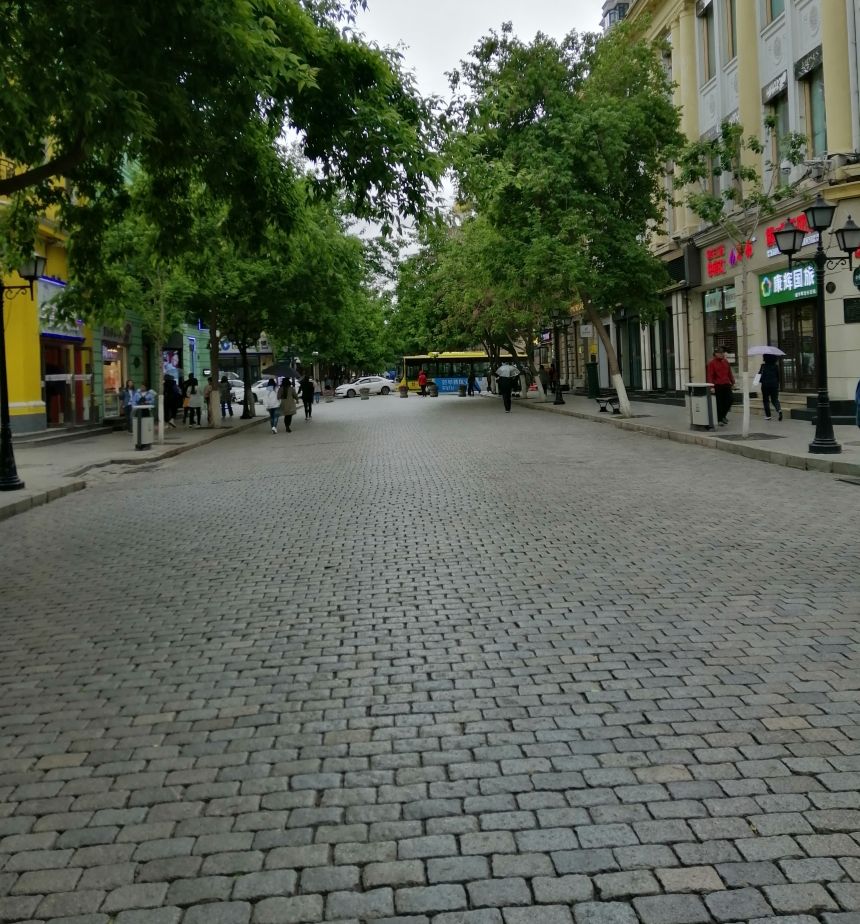 世界华人文学社ll中国东北分社内刊【002】期中央大街一一松柏摄影丁