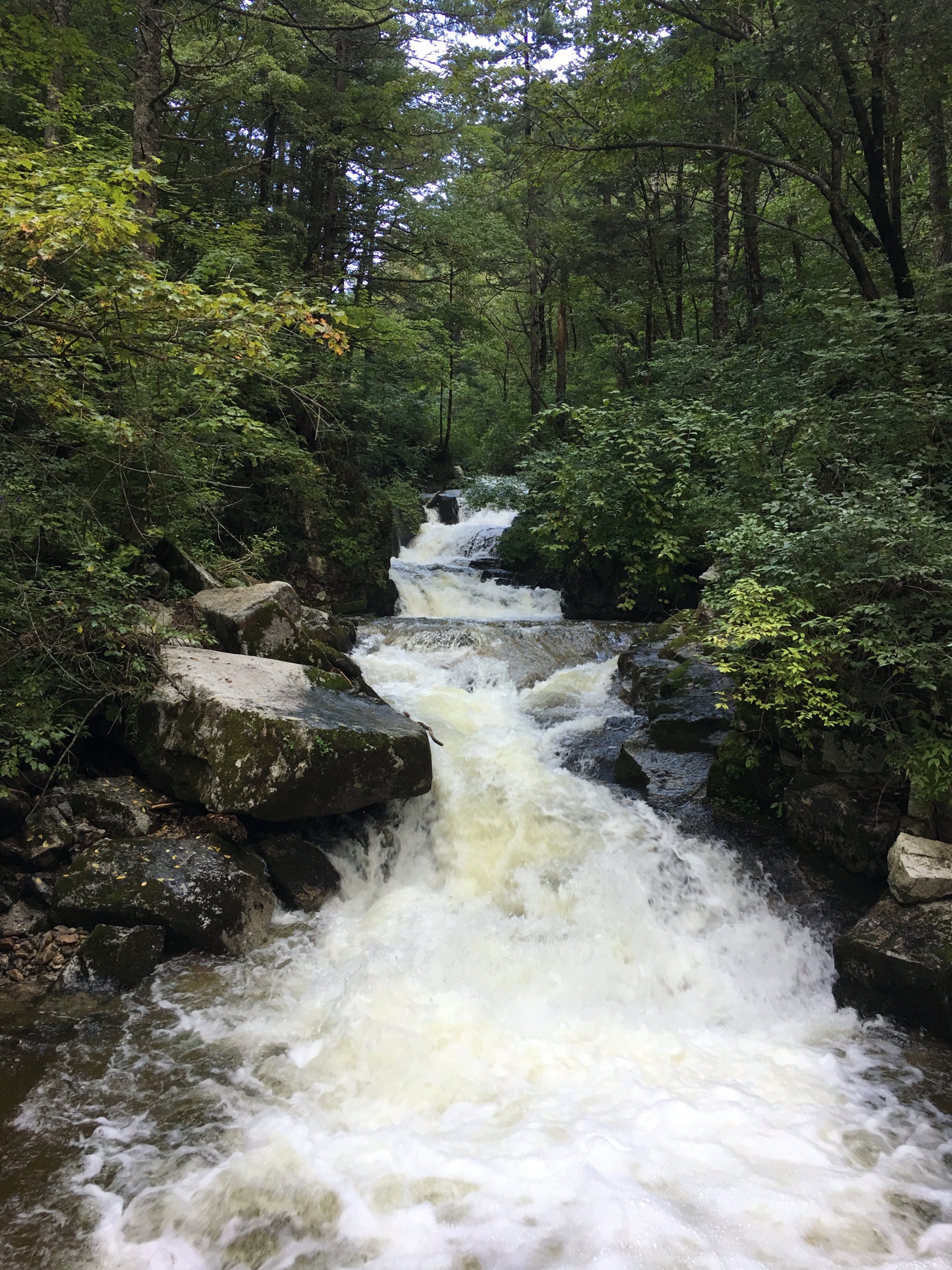 深山溪流