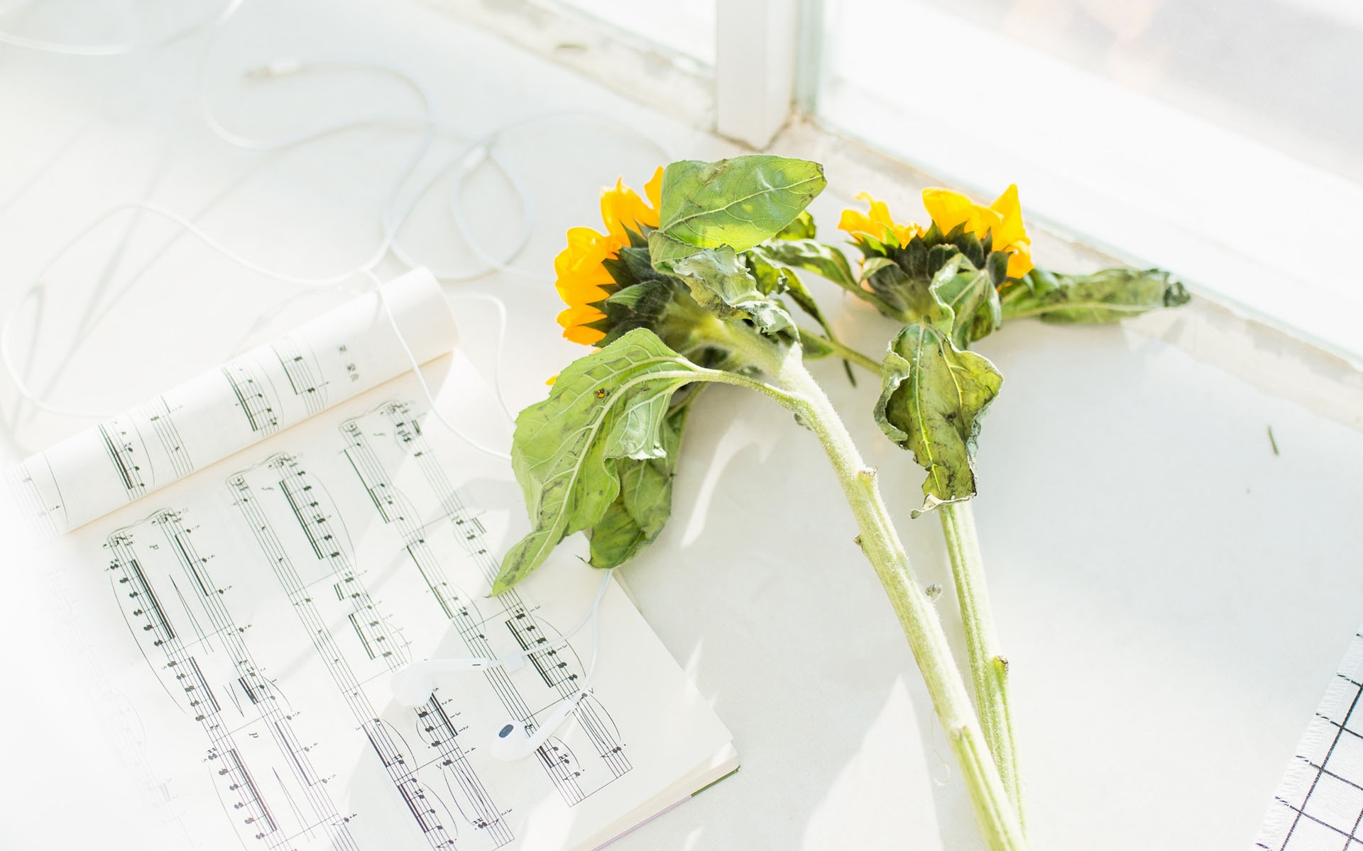 蓝树叶七月写诗第七辑