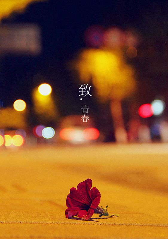 致已逝去的青春