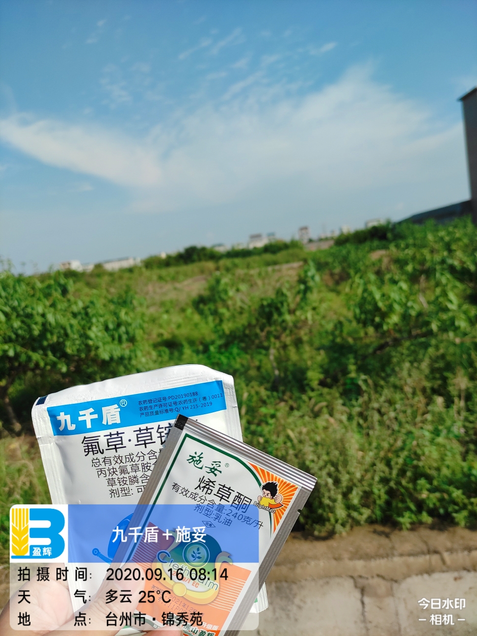 这个是9月16号在浙江台州打的一个除草实验,在我面前的是一片桃园!