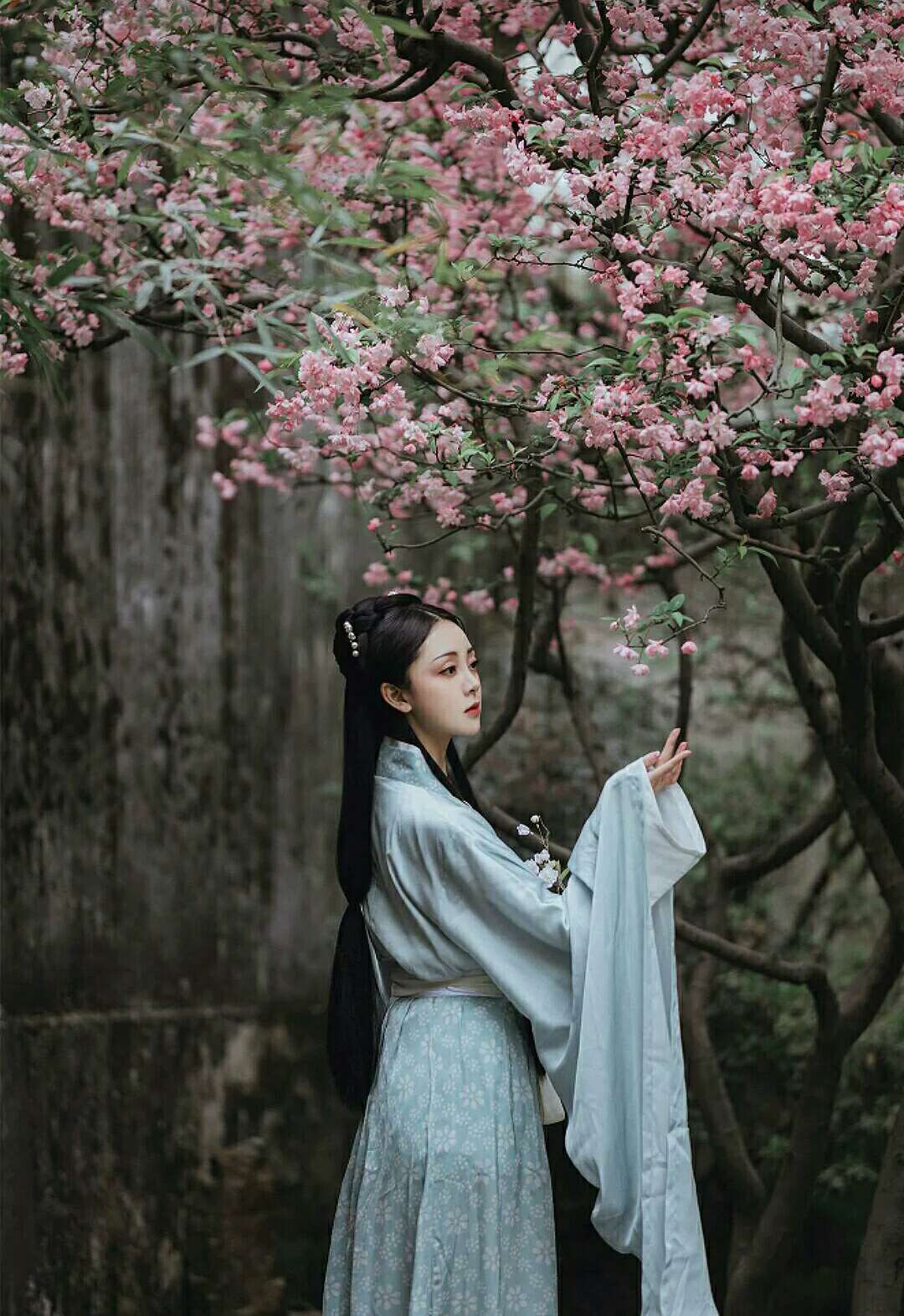 首发翠帘轻卷水香凝一阙清词梅雪和