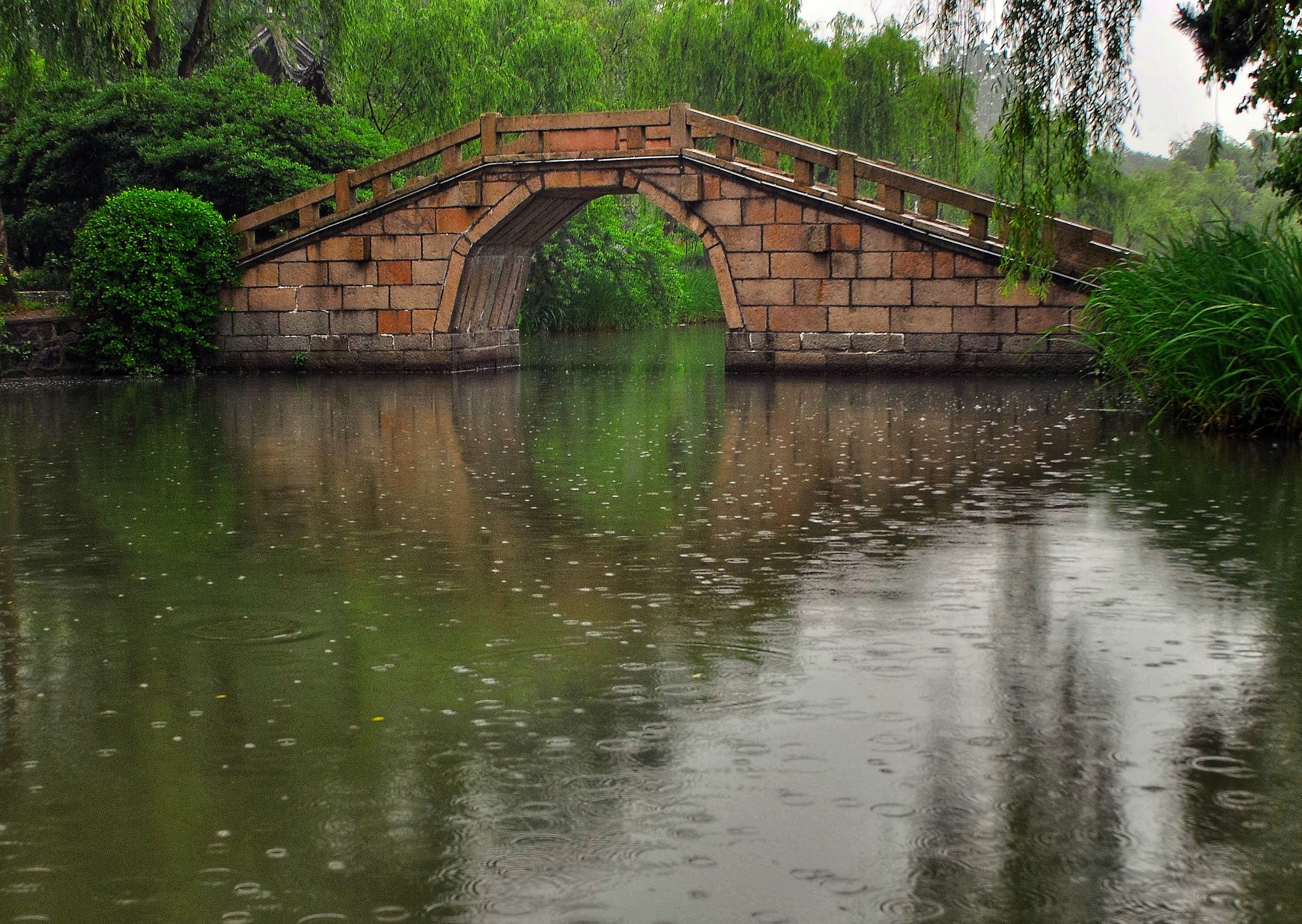 烟雨杨洲泛舟瘦西湖