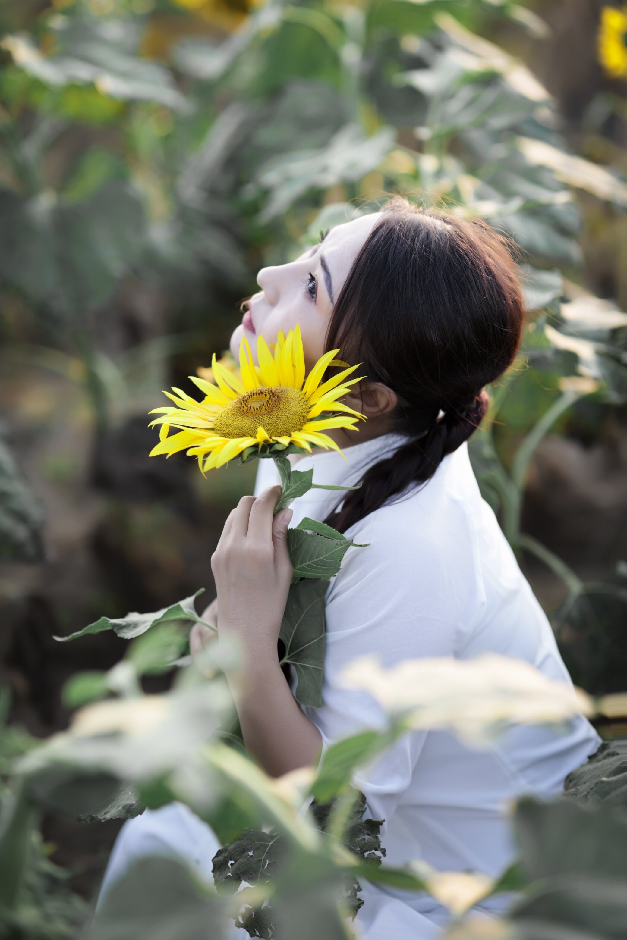 拿一枝花女人唯美图片图片