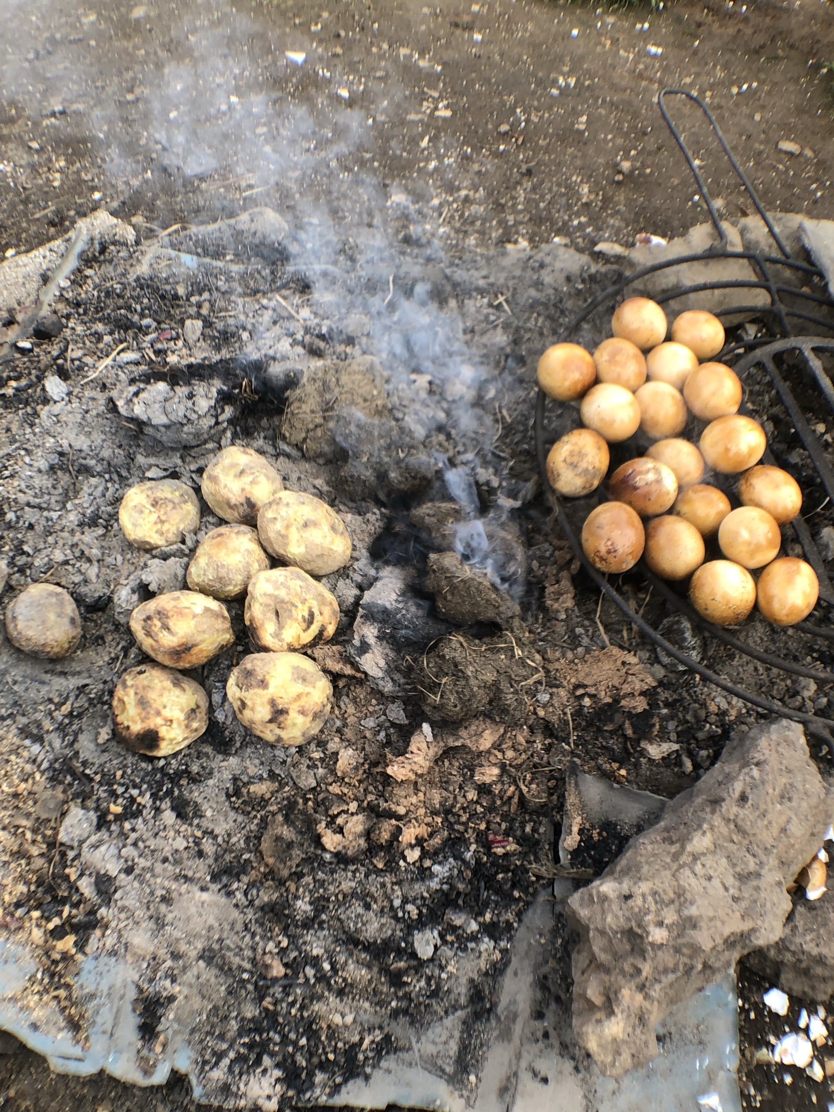 大山深处的牛粪烧洋芋,烤鸡蛋