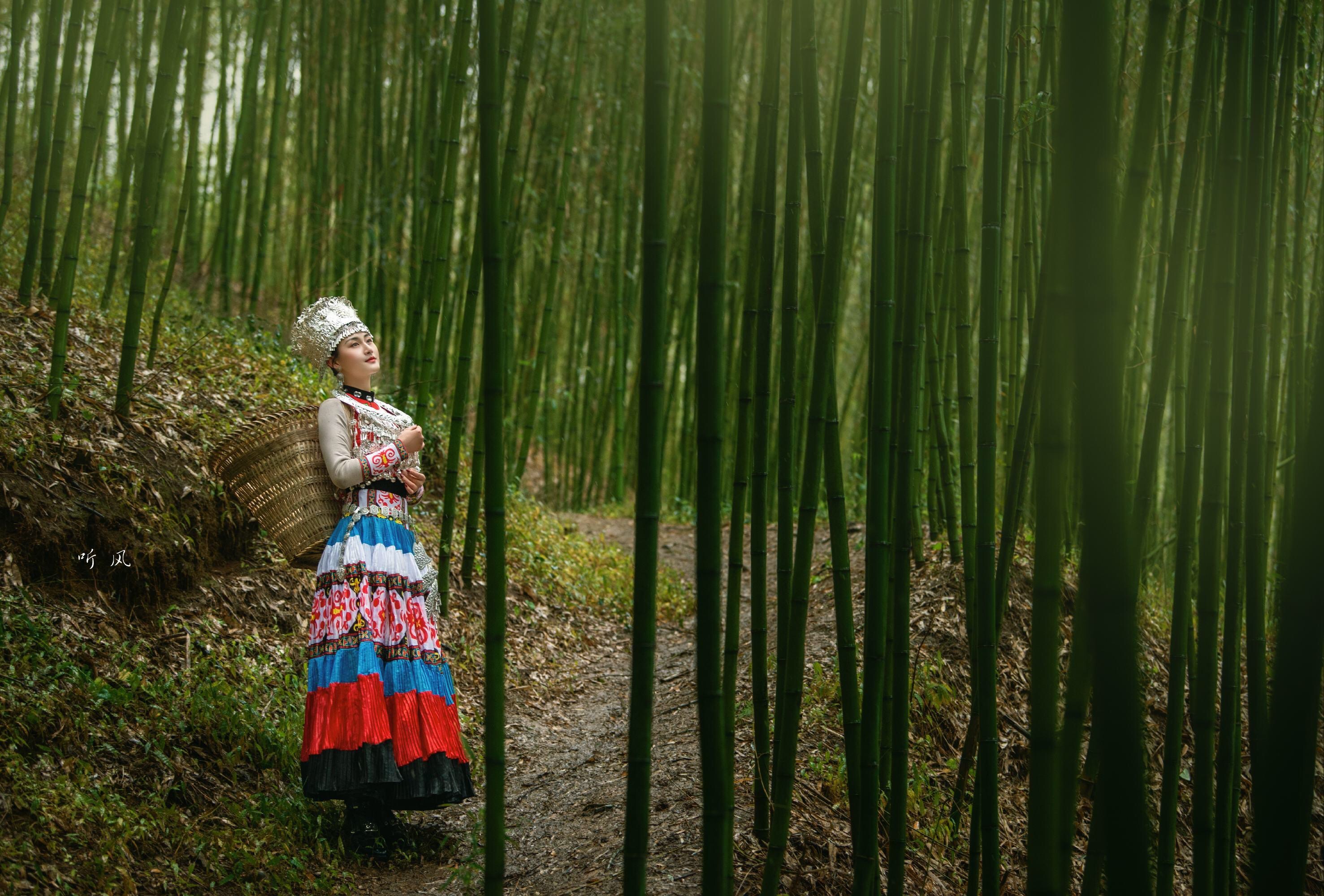 竹林听风(vv首发)